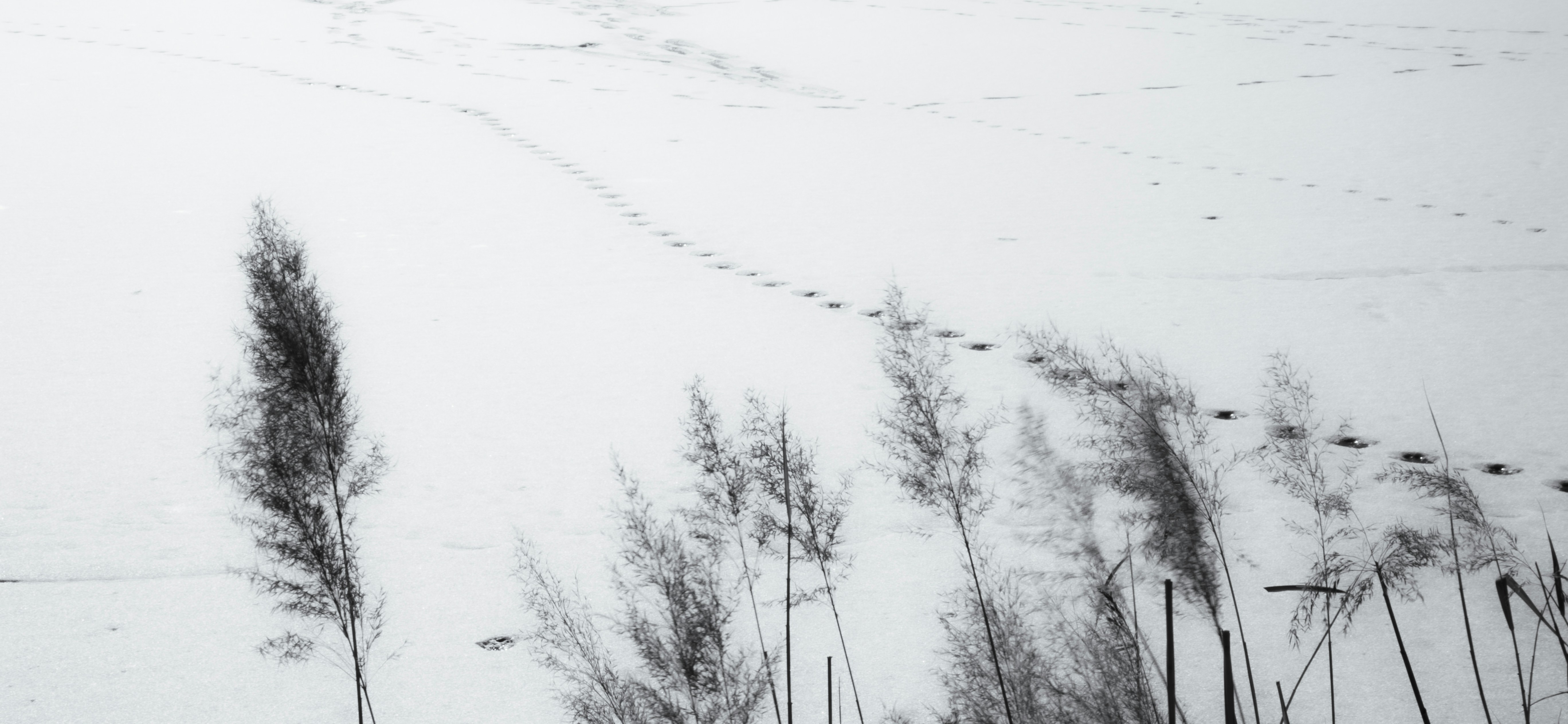 Photo by wu_hua_jiang