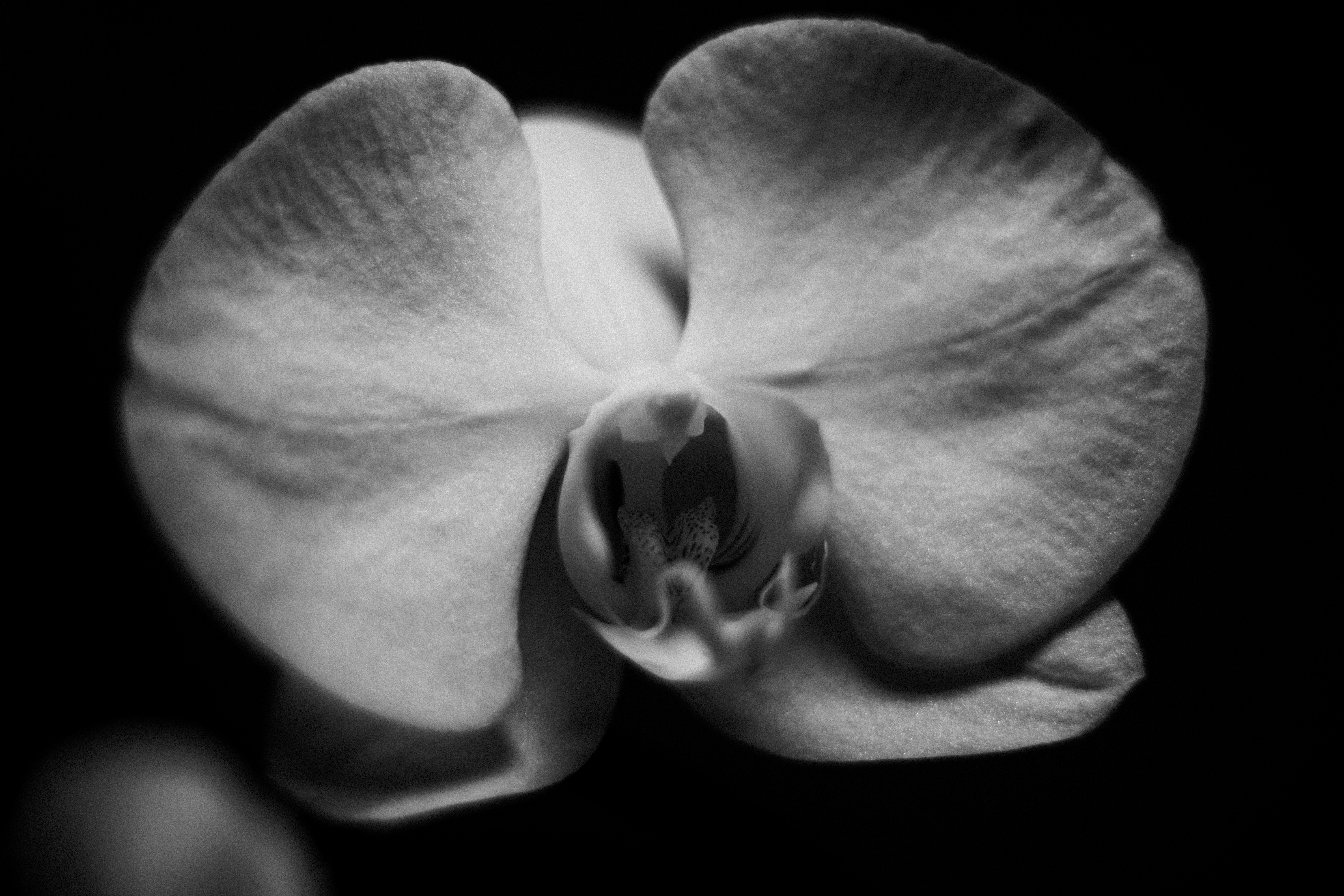 Photo by reinisbruzitis