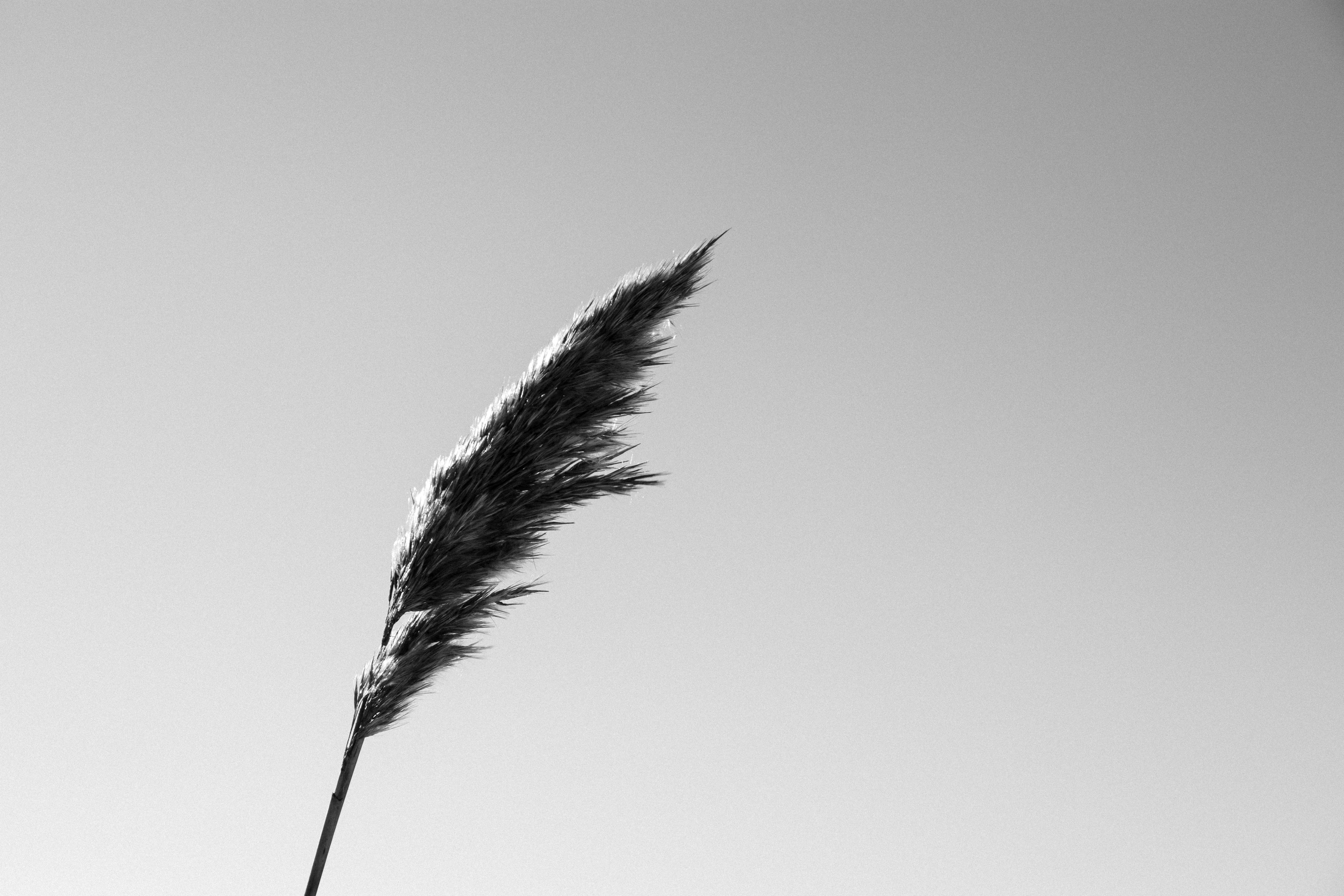 Photo by reinisbruzitis