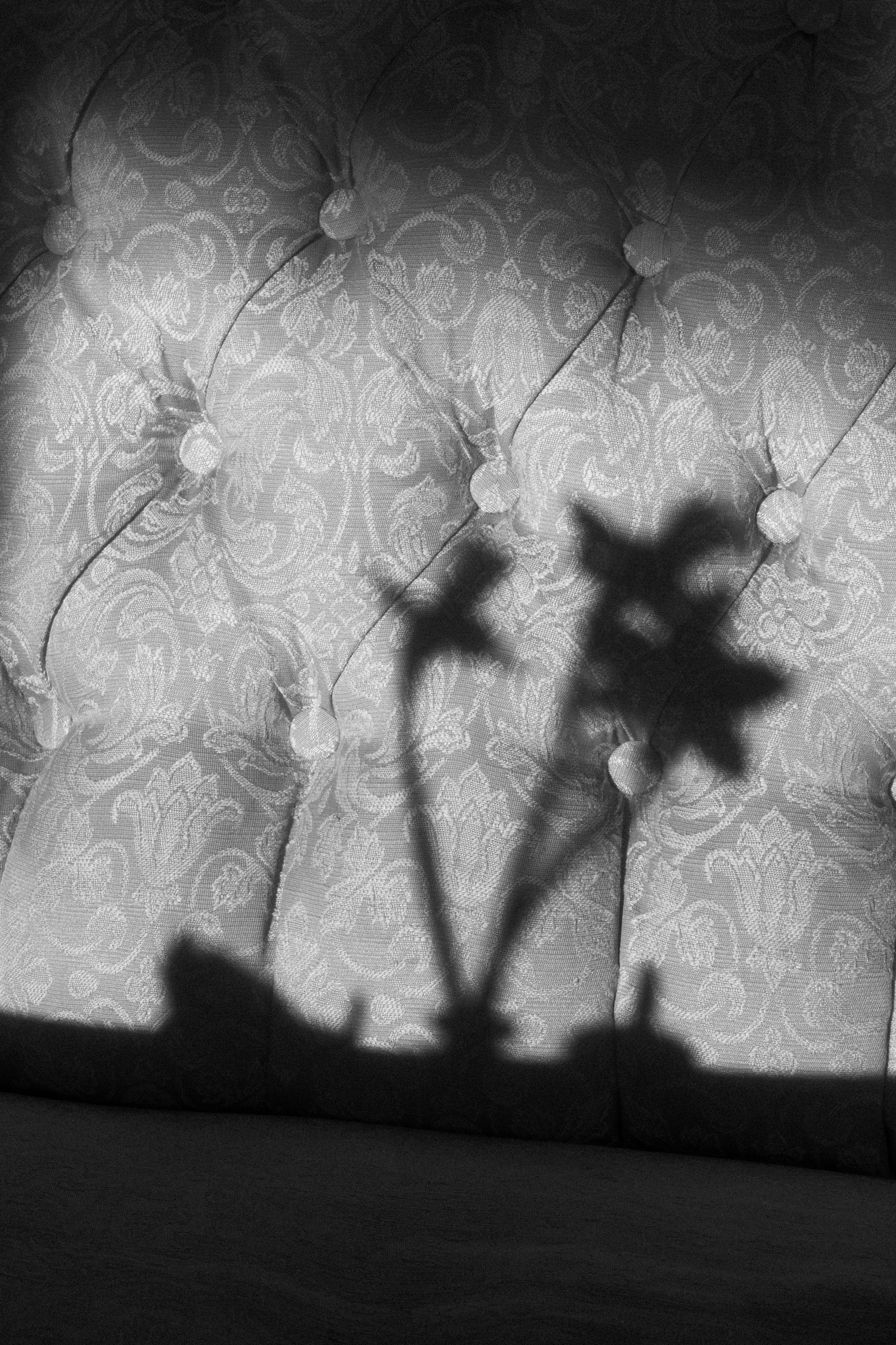 Photo by reinisbruzitis