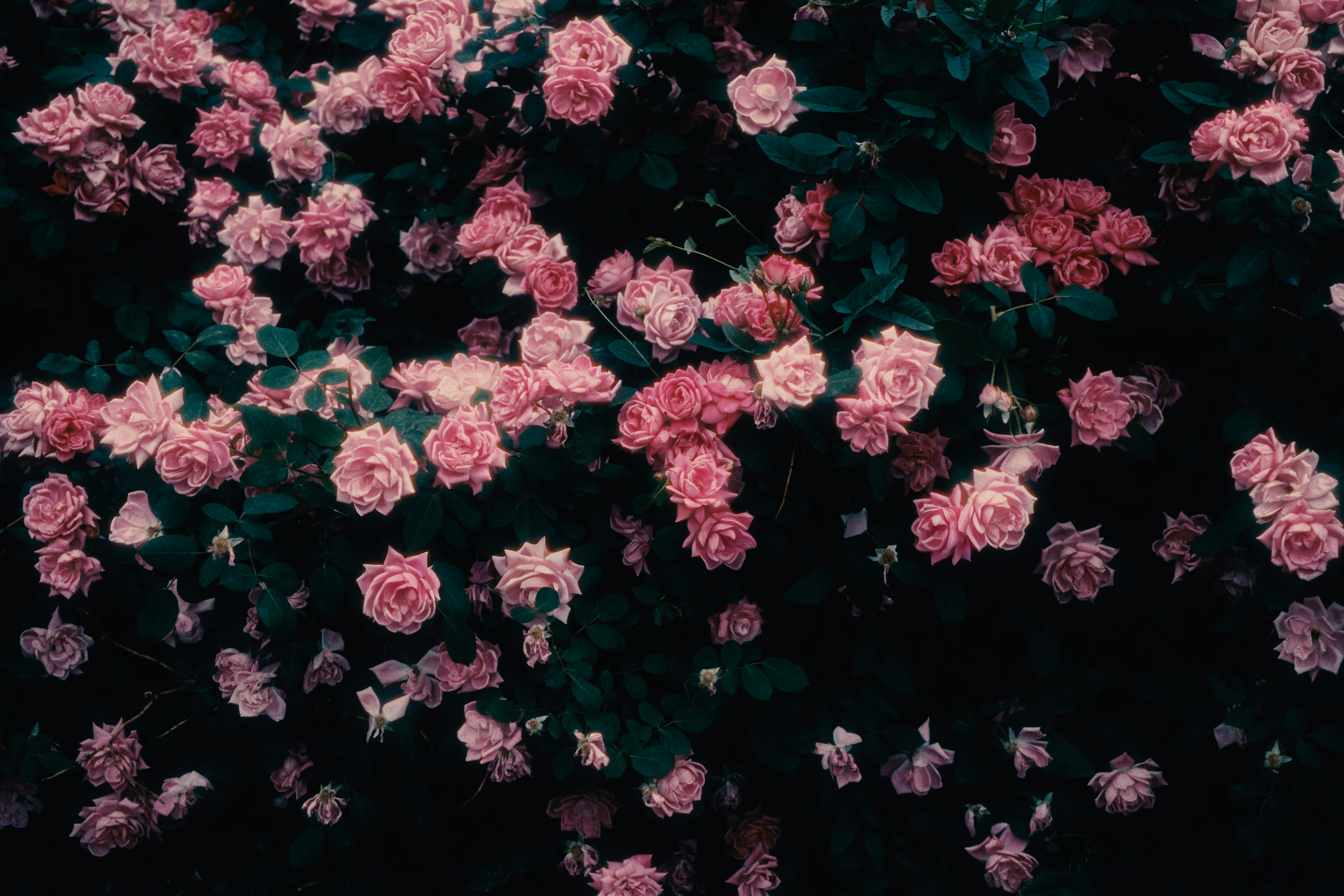 vintage memories wallpaper, wallpaper, Sejarah Lisan: Pengertian, Manfaat, dan Contohnya 4