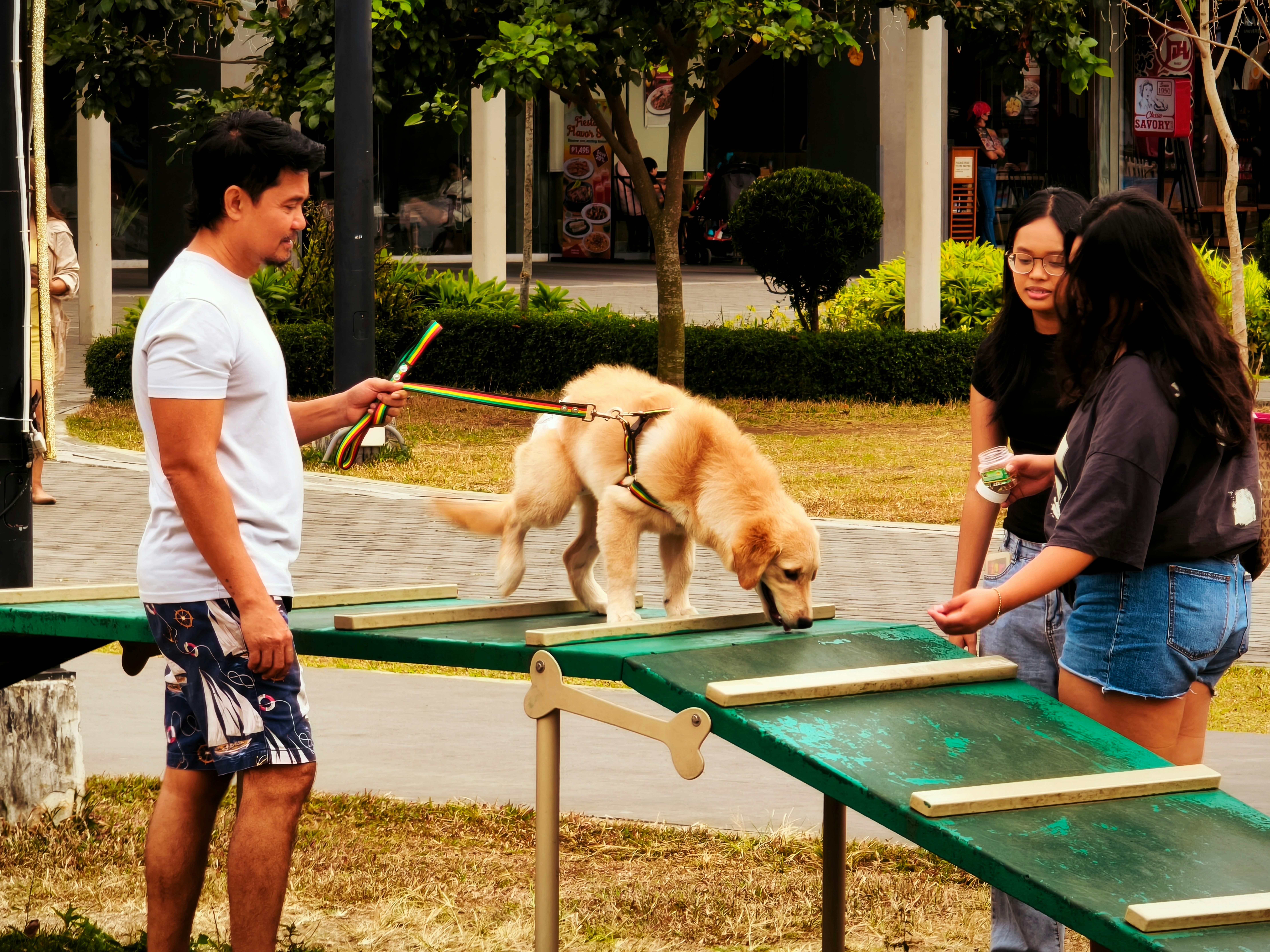 Man training dog on agility course with two women watching