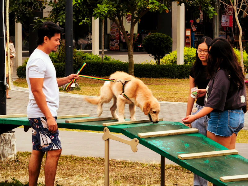 Interactive Dog Toys for Mental Stimulation