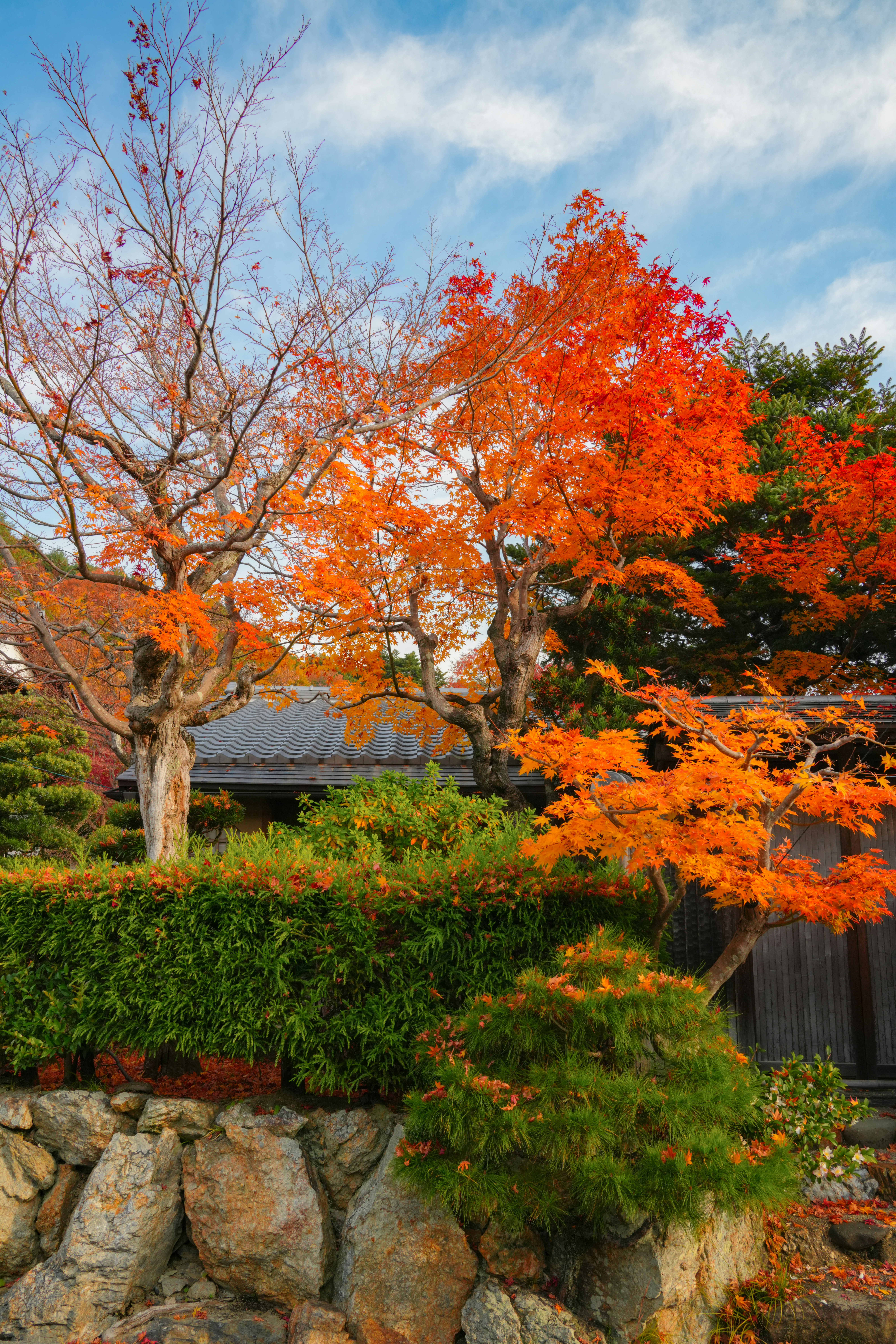 Photo by hattrick1996