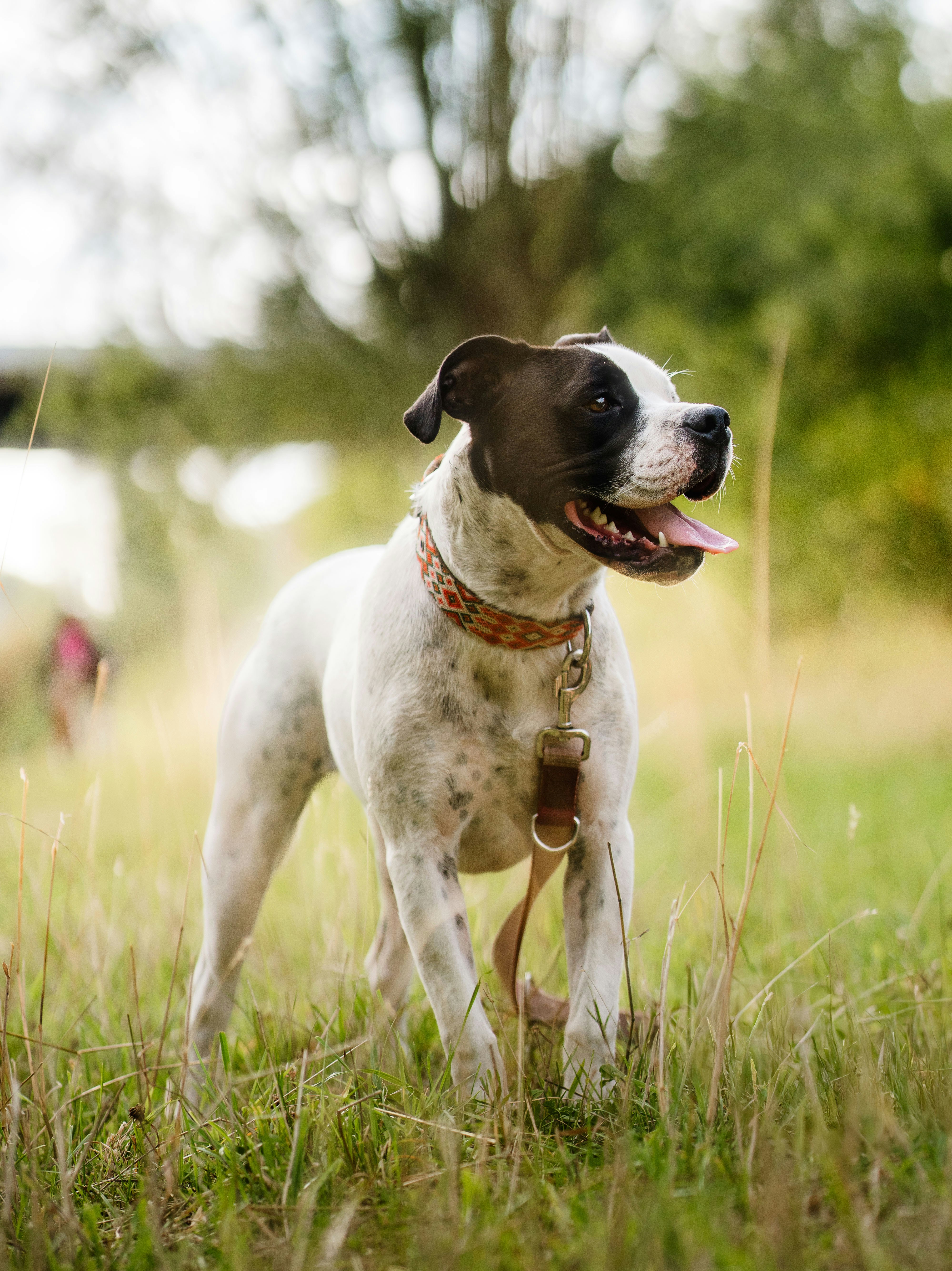 Photo by lephotographelillois