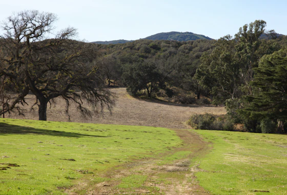 Dirt trail through grassy fields toward wooded hills