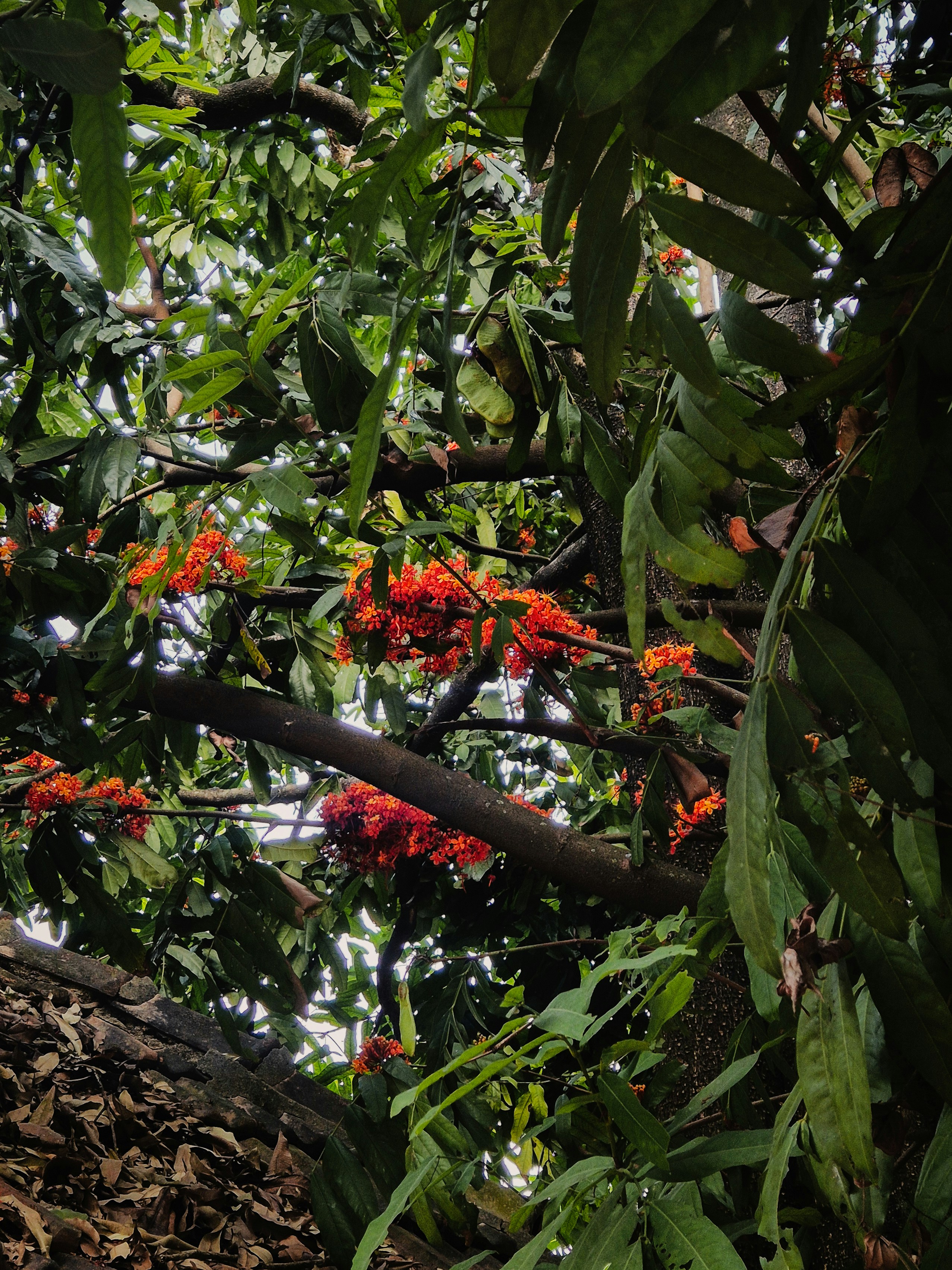 Photo by adhitya_2505