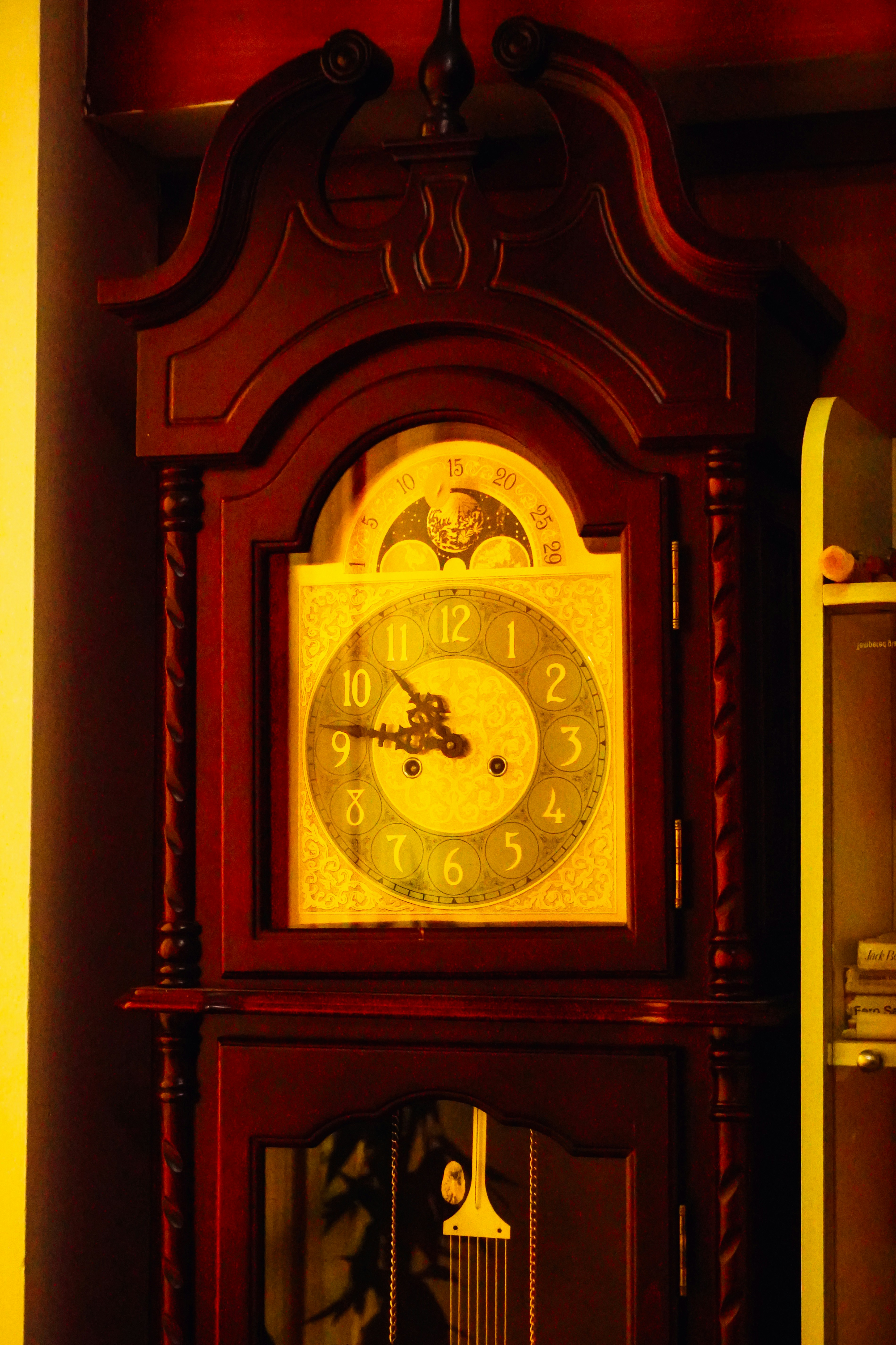 A symbol of how Spaced Repetition represents our memory over time. Credit - Adhitya Sibikumar (Unsplash)