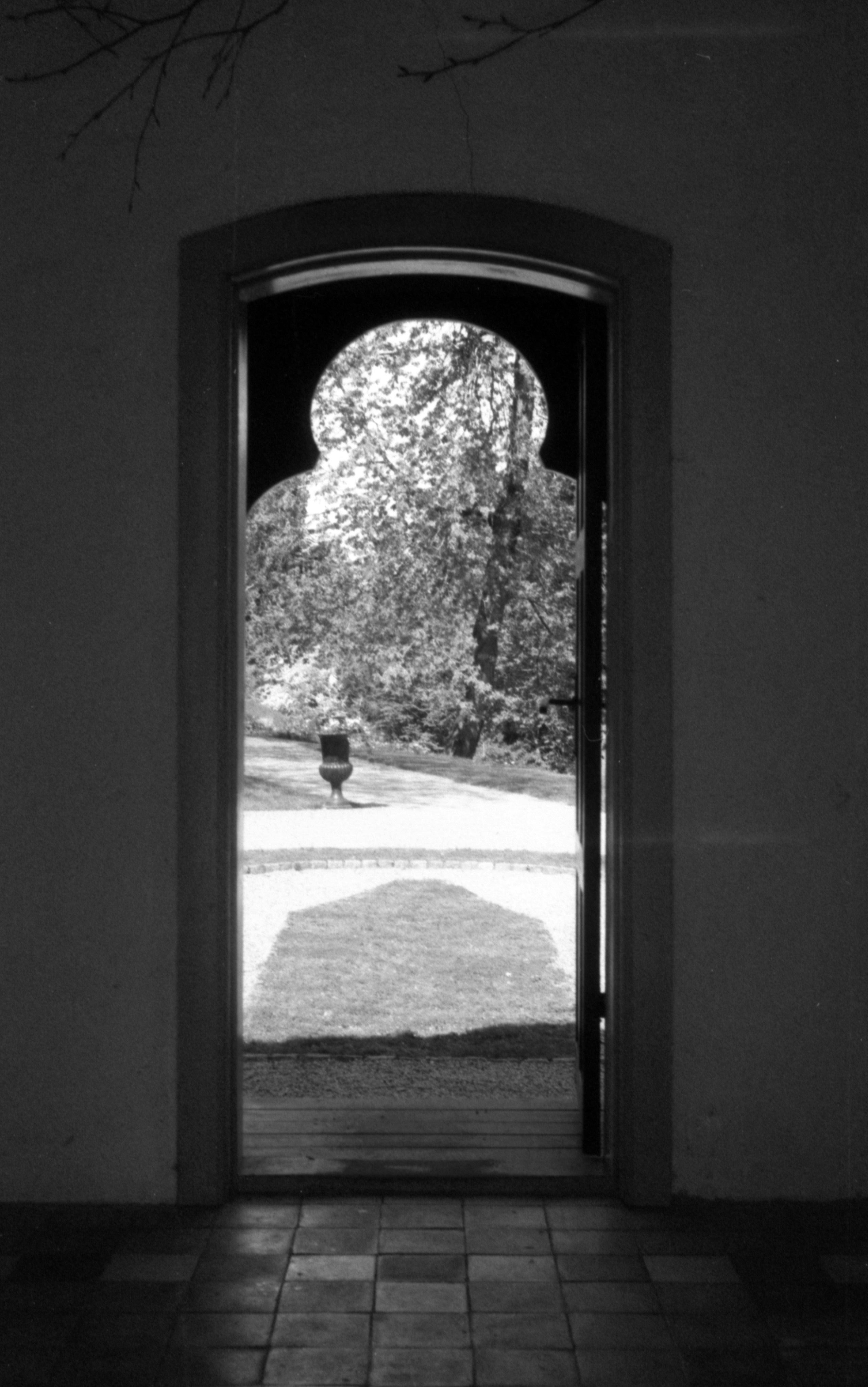 Photo by jellecoelingh