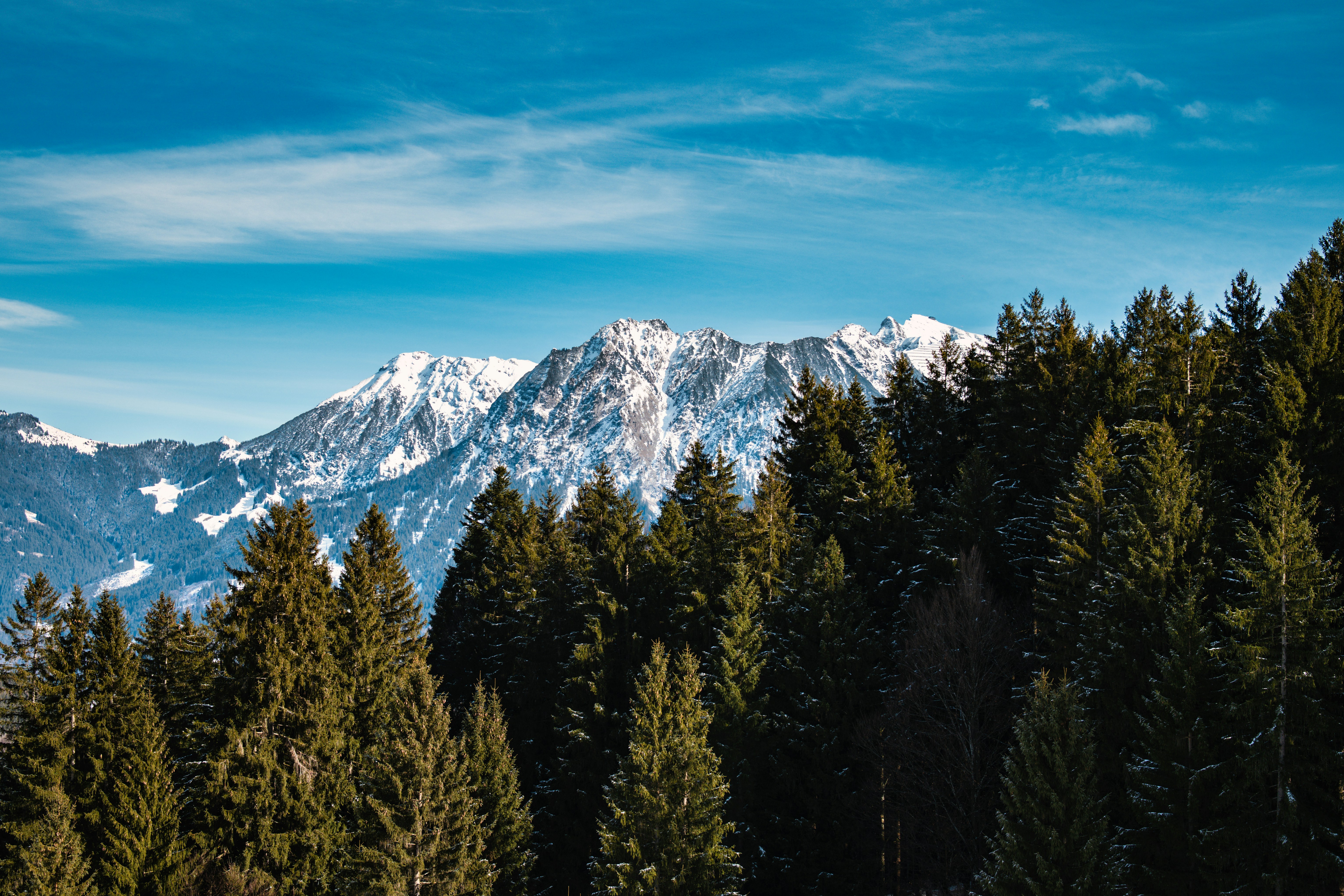 Photo by graberdesign