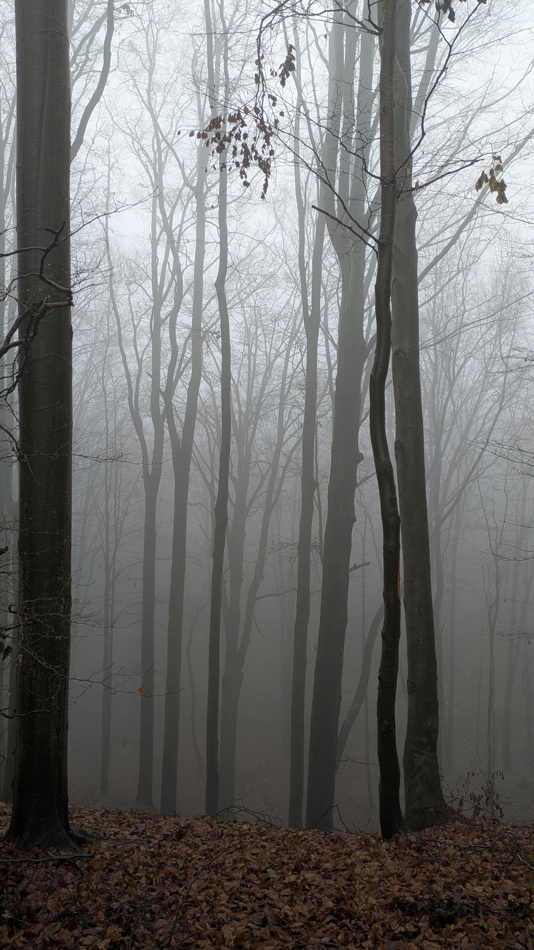 Photo by materidouska