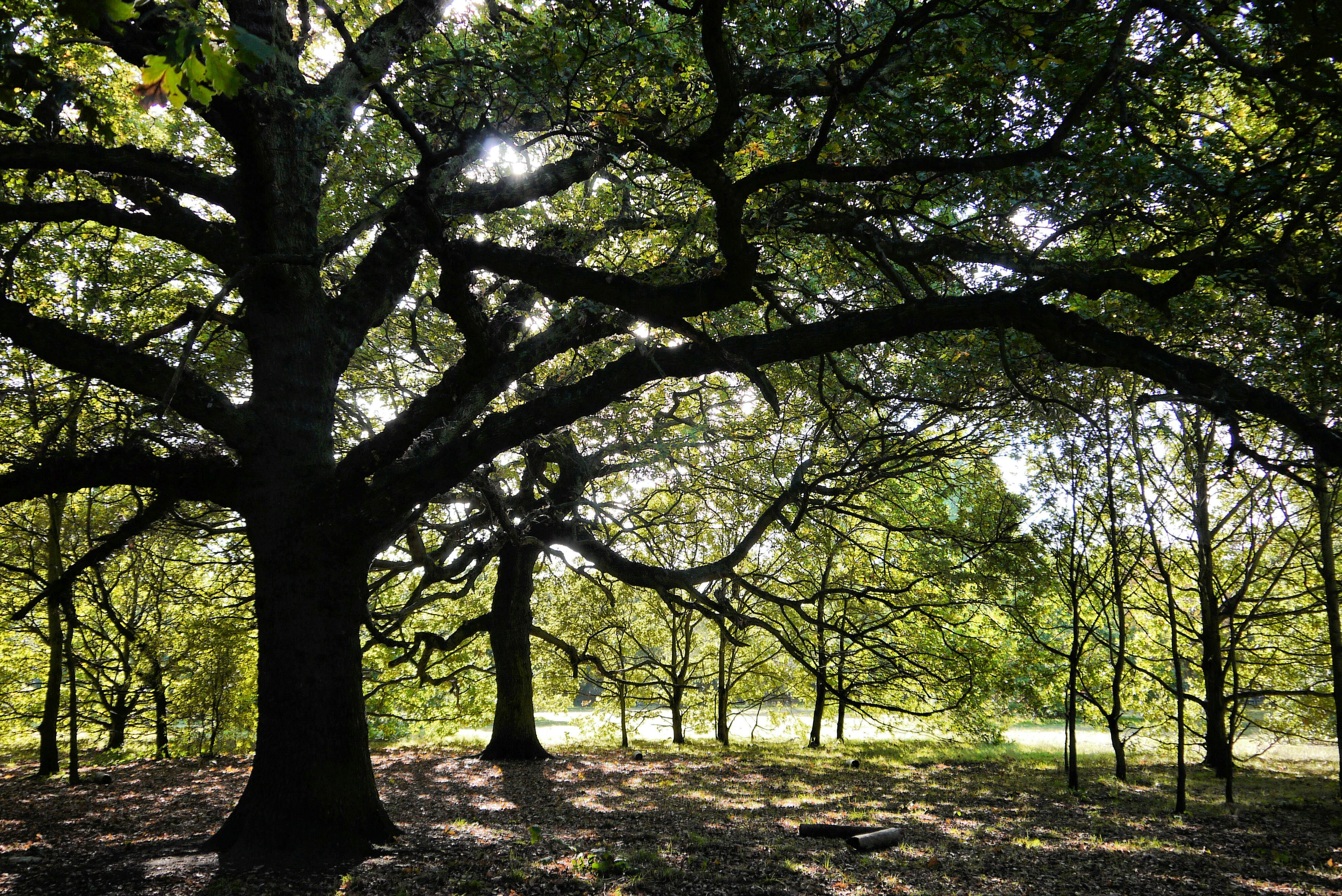 Photo by leticiagolubov