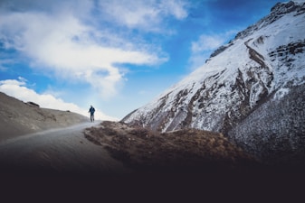 Best Trekking Poles for Hiking 2026