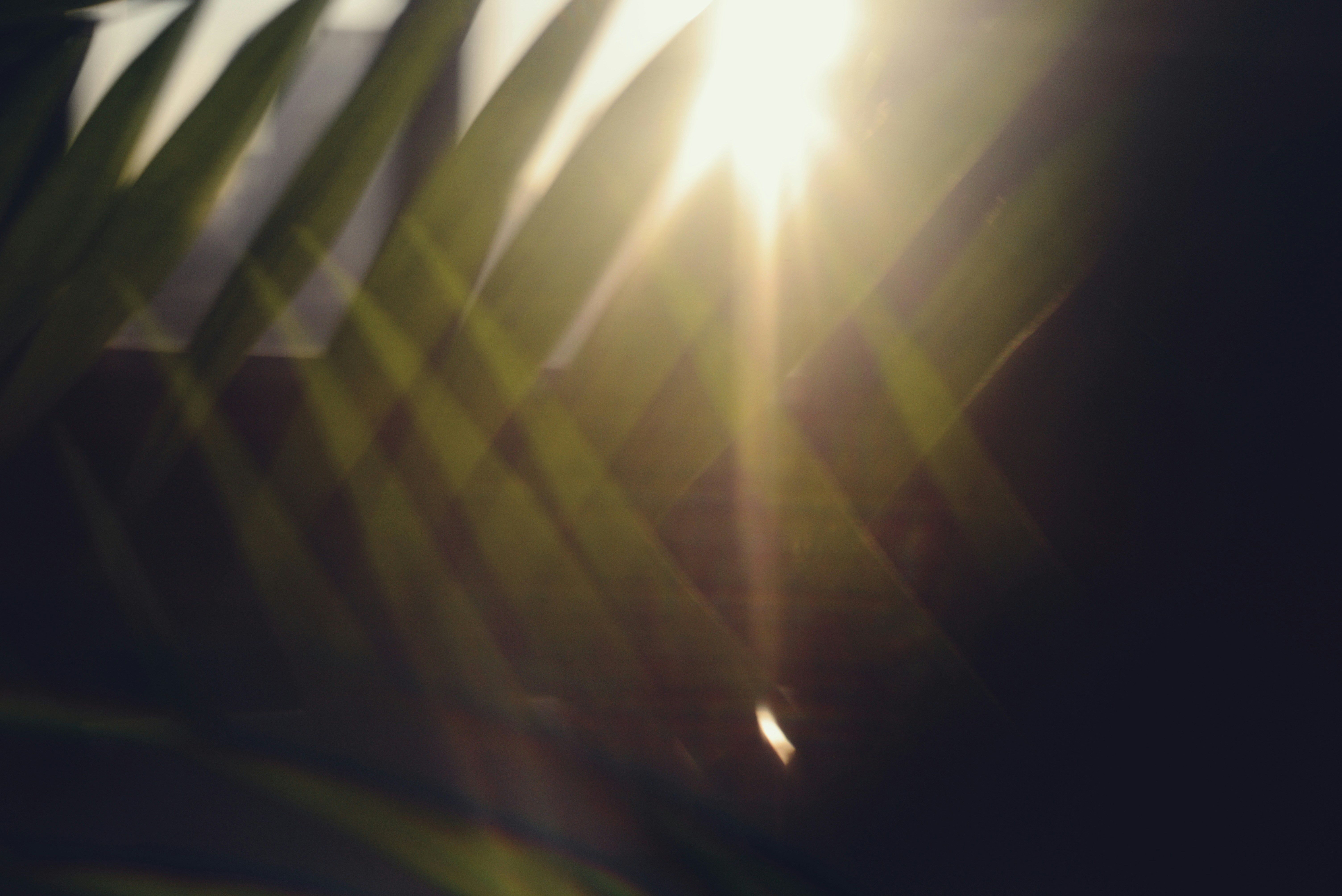 Photo by cherstve_pechivo