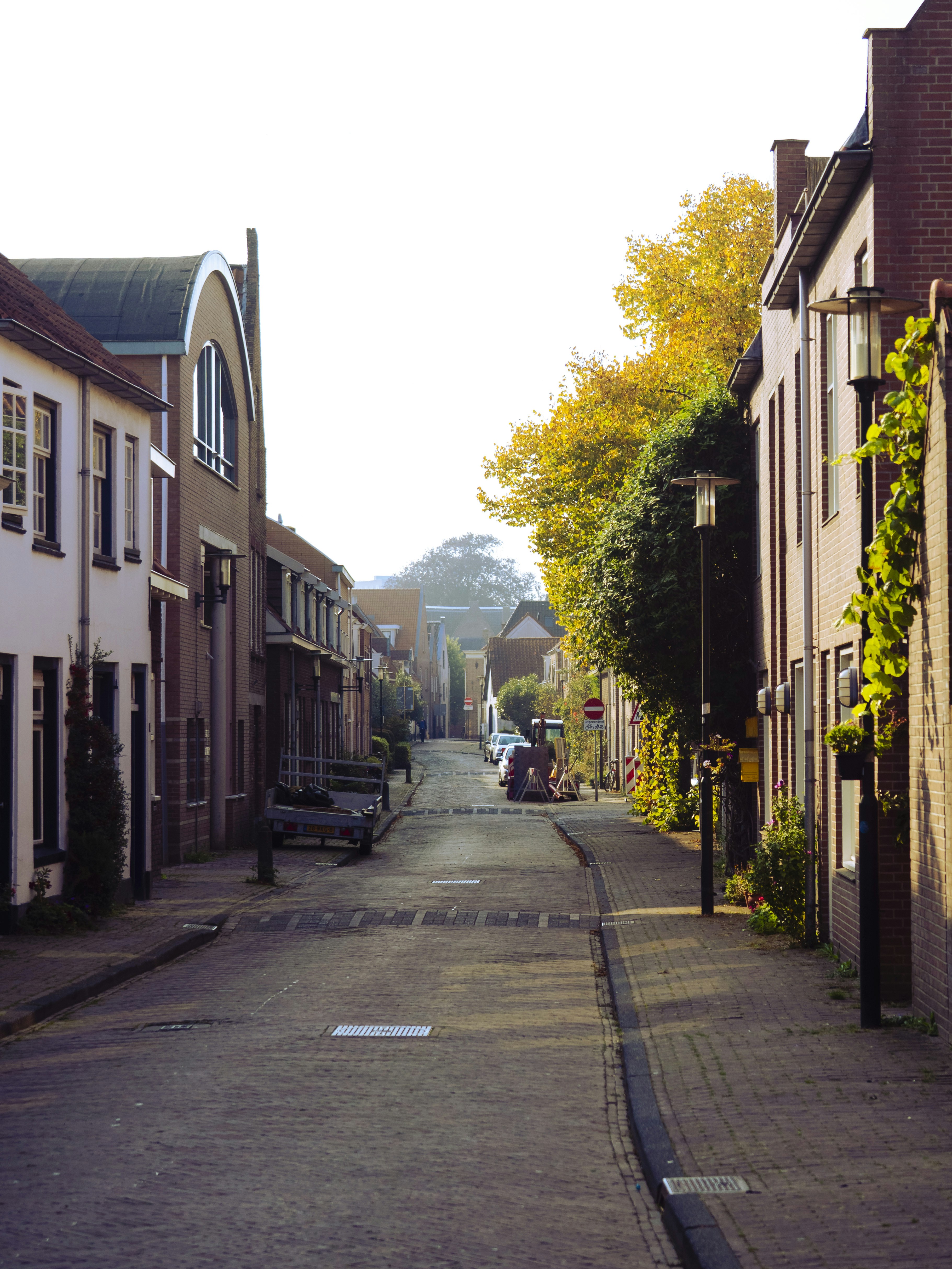 Quiet street lined with houses and trees