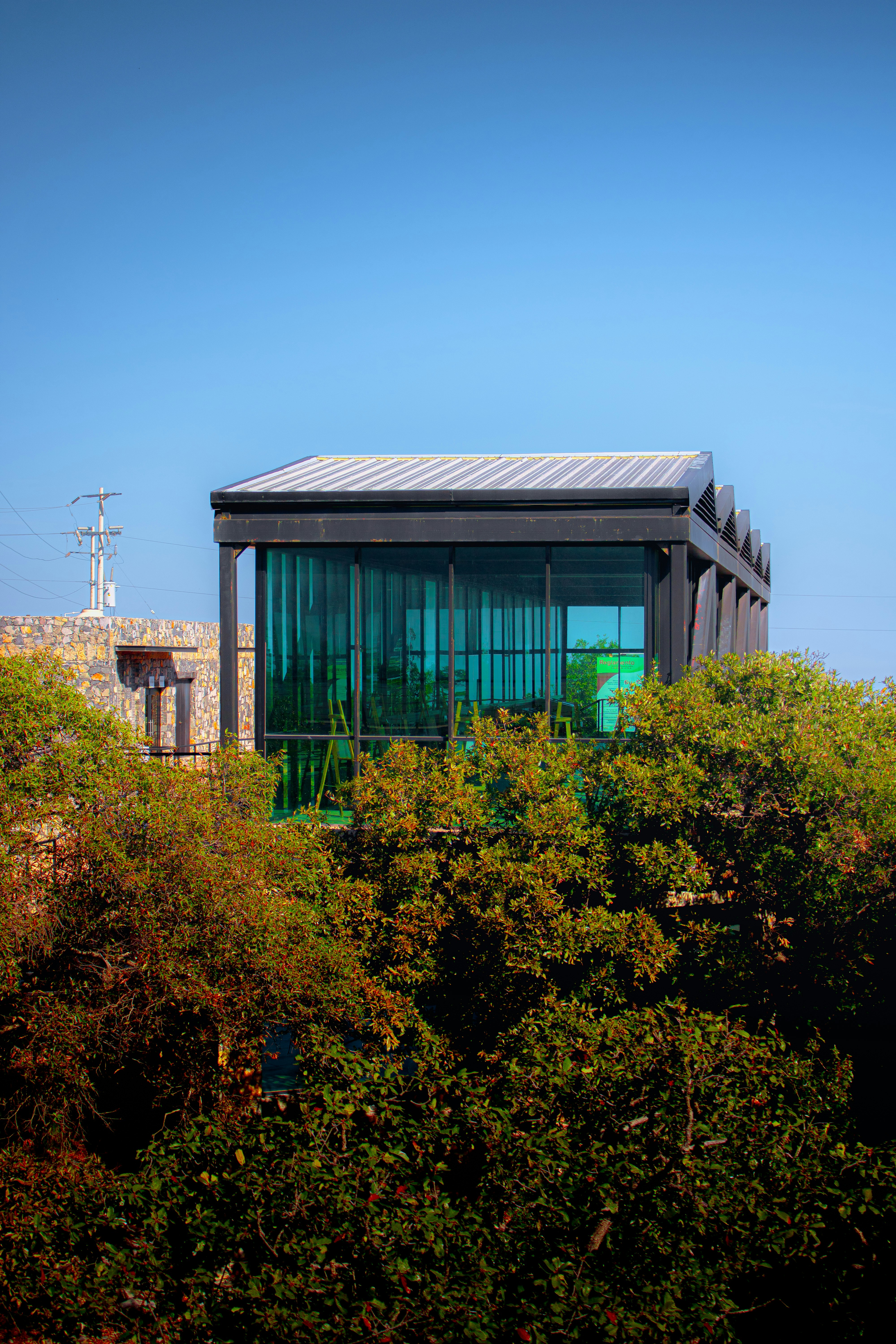 Modern building with green glass windows amidst trees