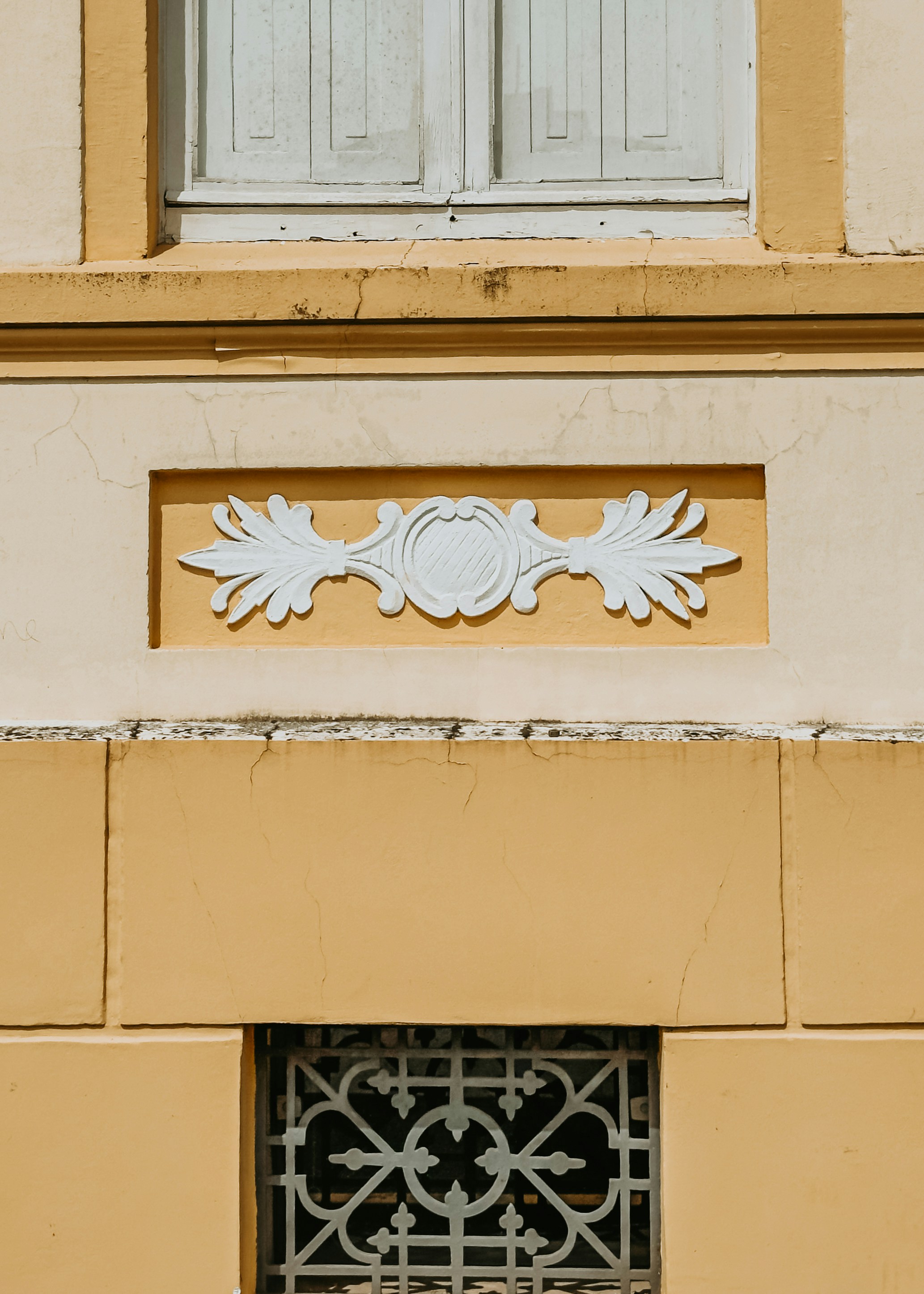 Photo by janilson_oficial