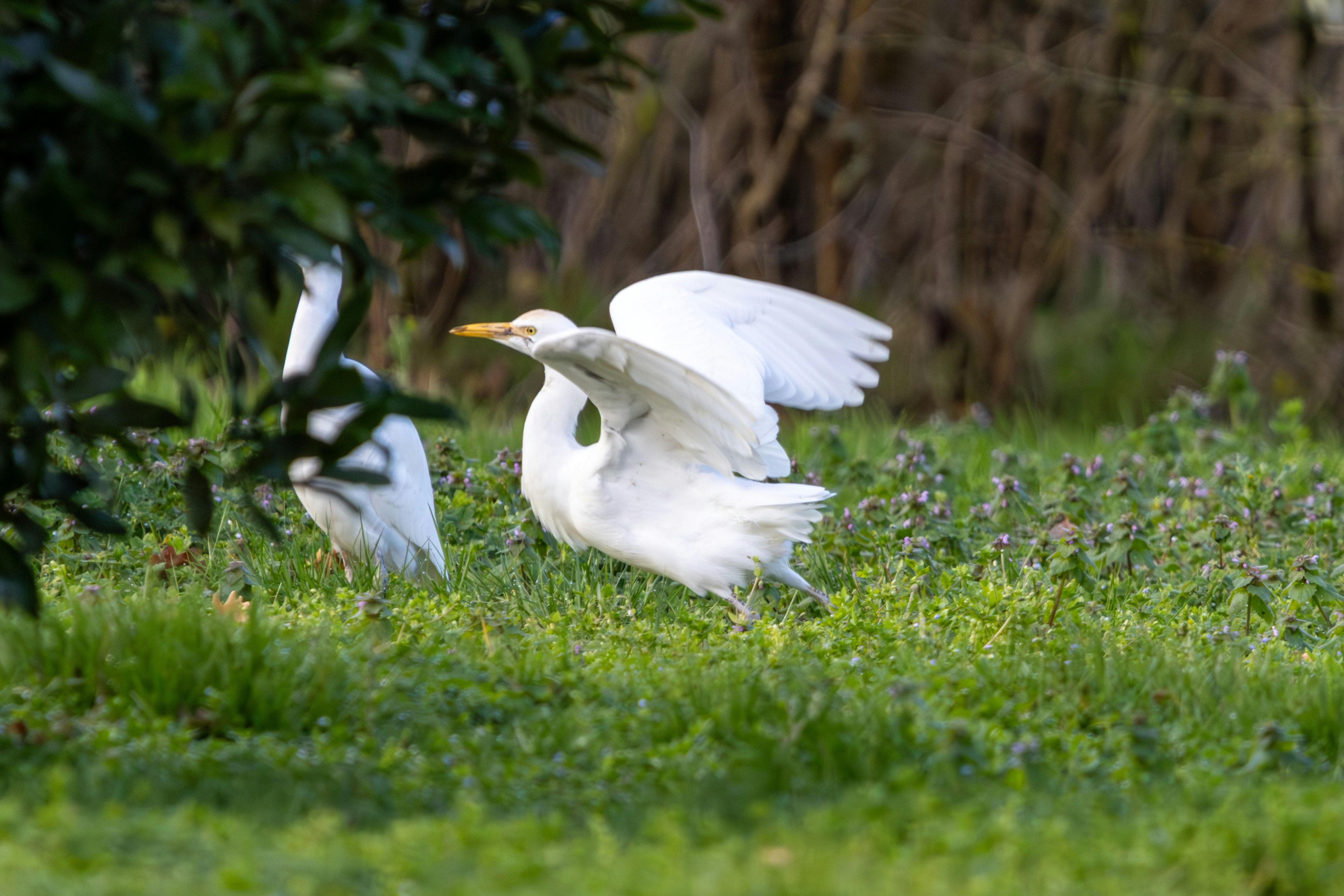 Photo by clement_pons