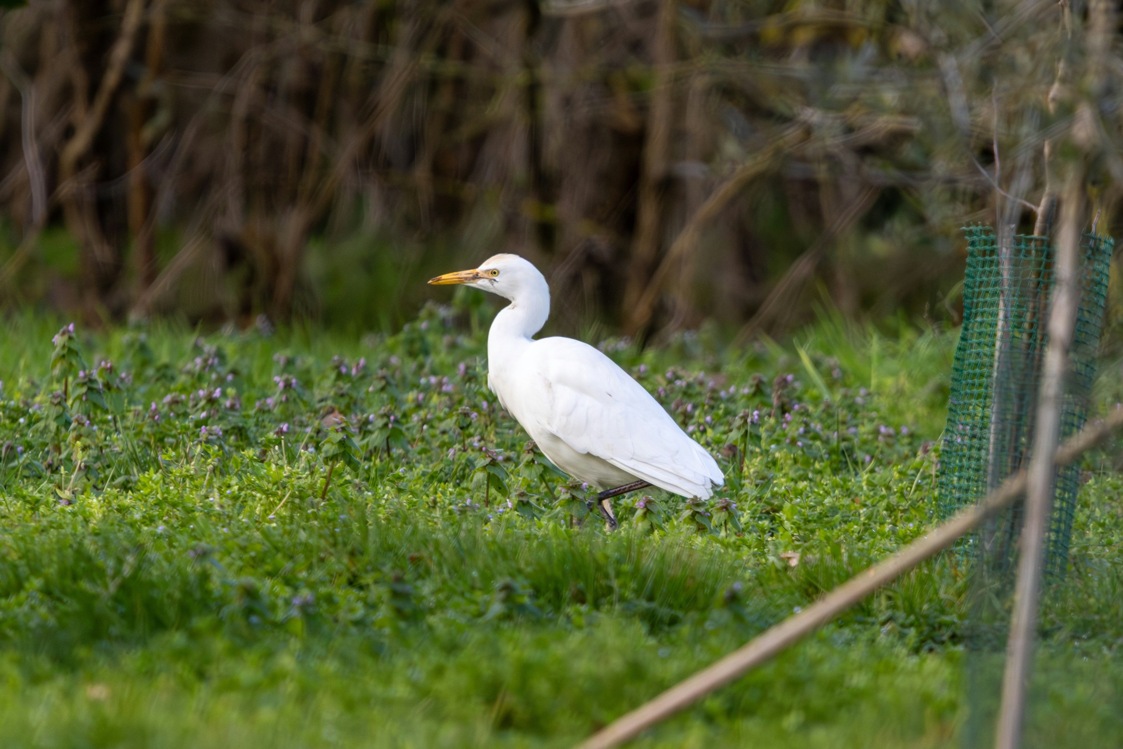 Photo by clement_pons