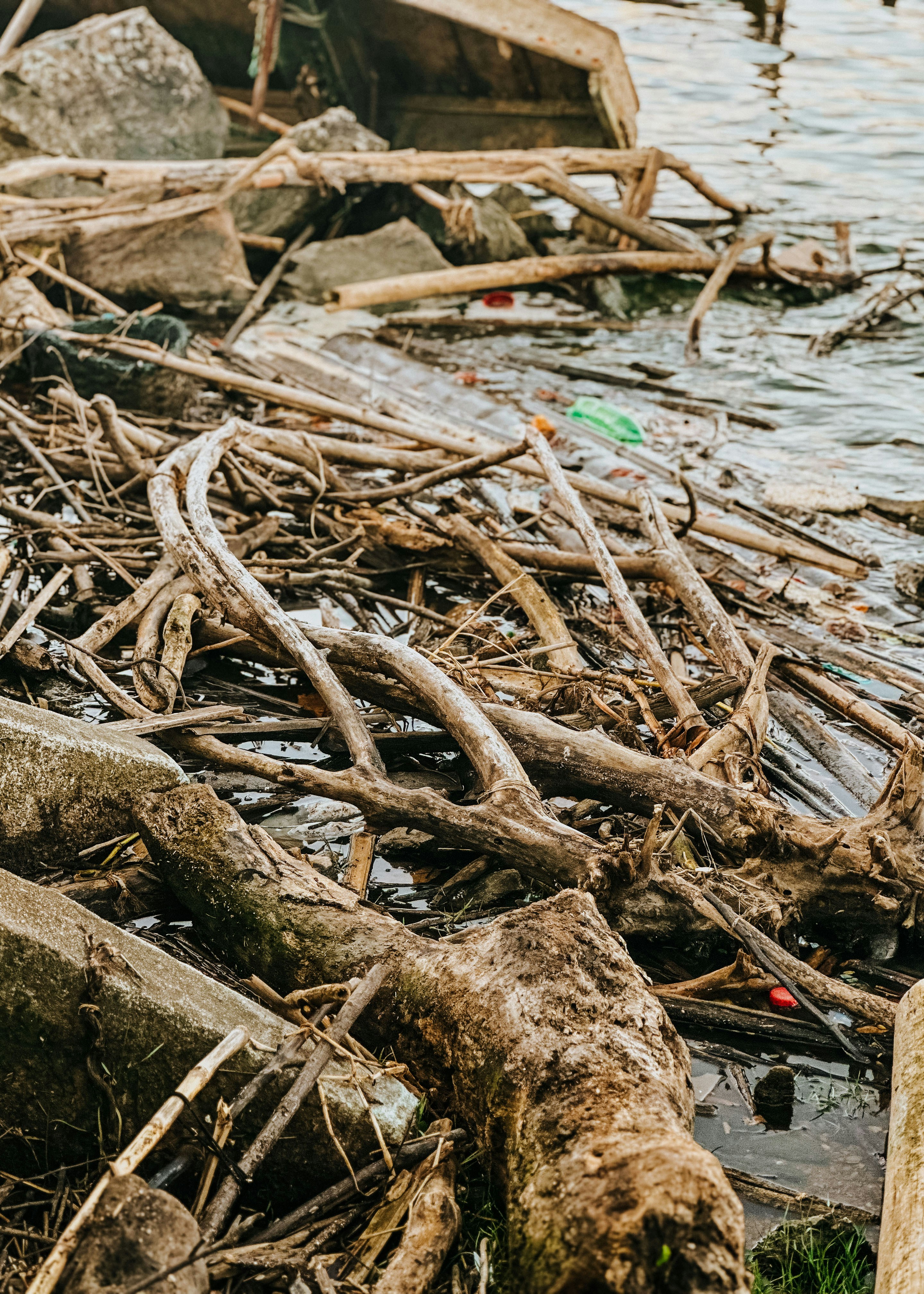 Debris and driftwood washed ashore by the water.