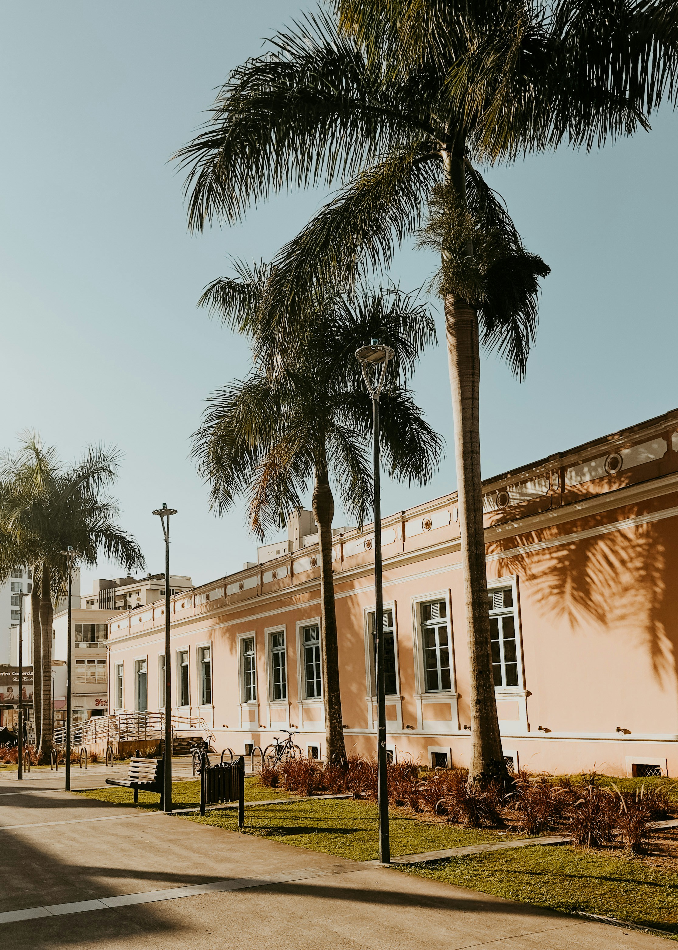 Photo by janilson_oficial