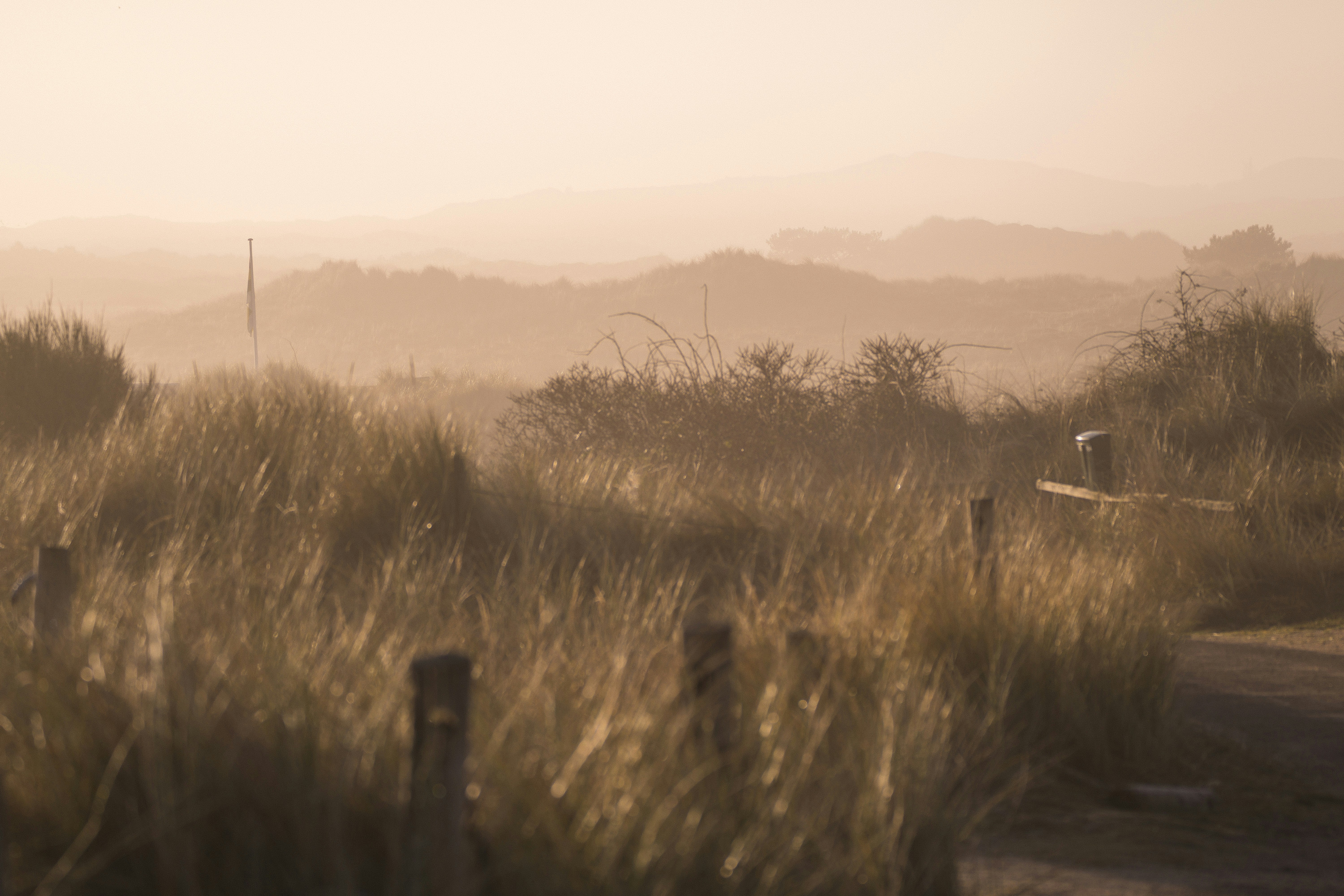 Photo by sinusfiction