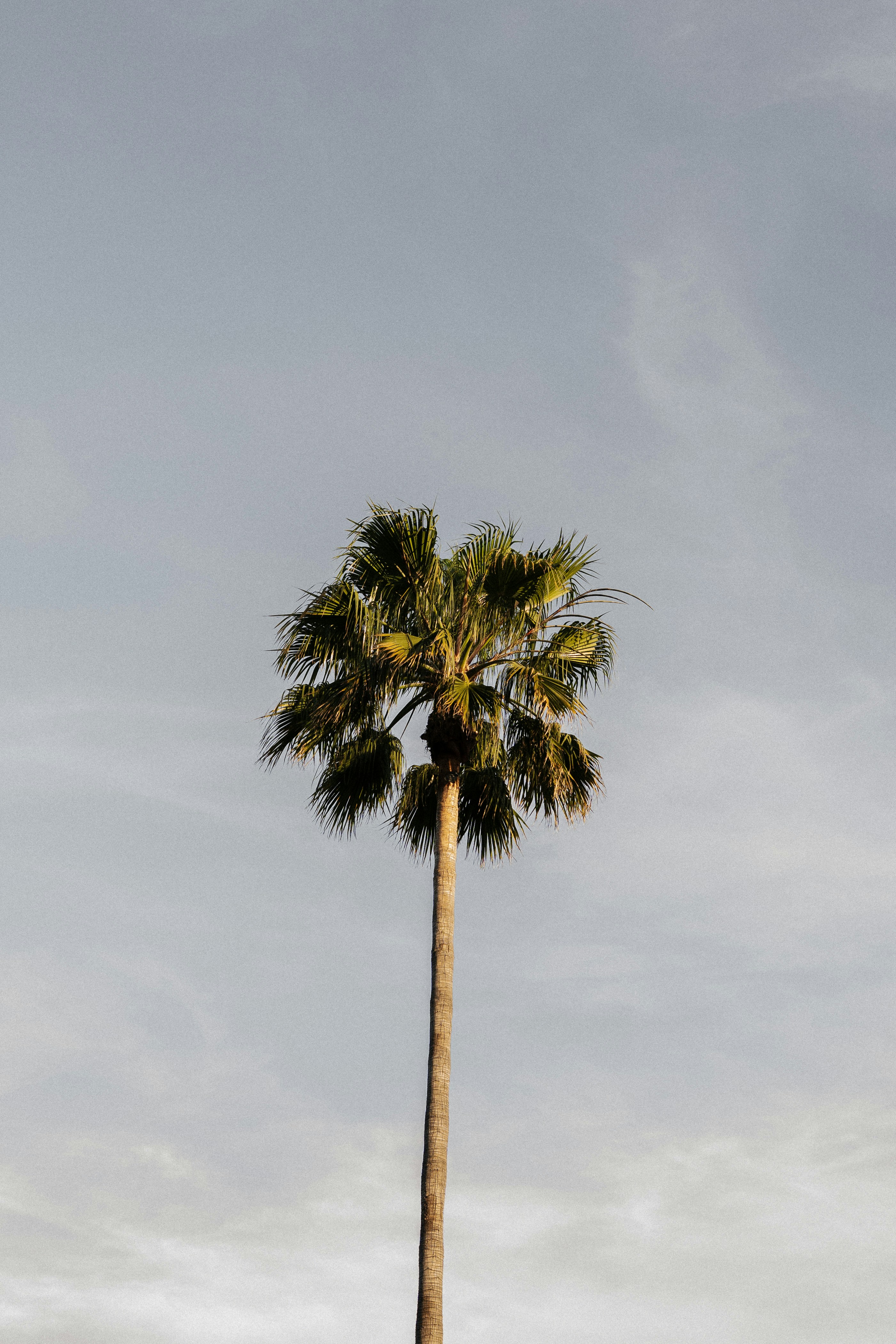 Photo by victor_broch