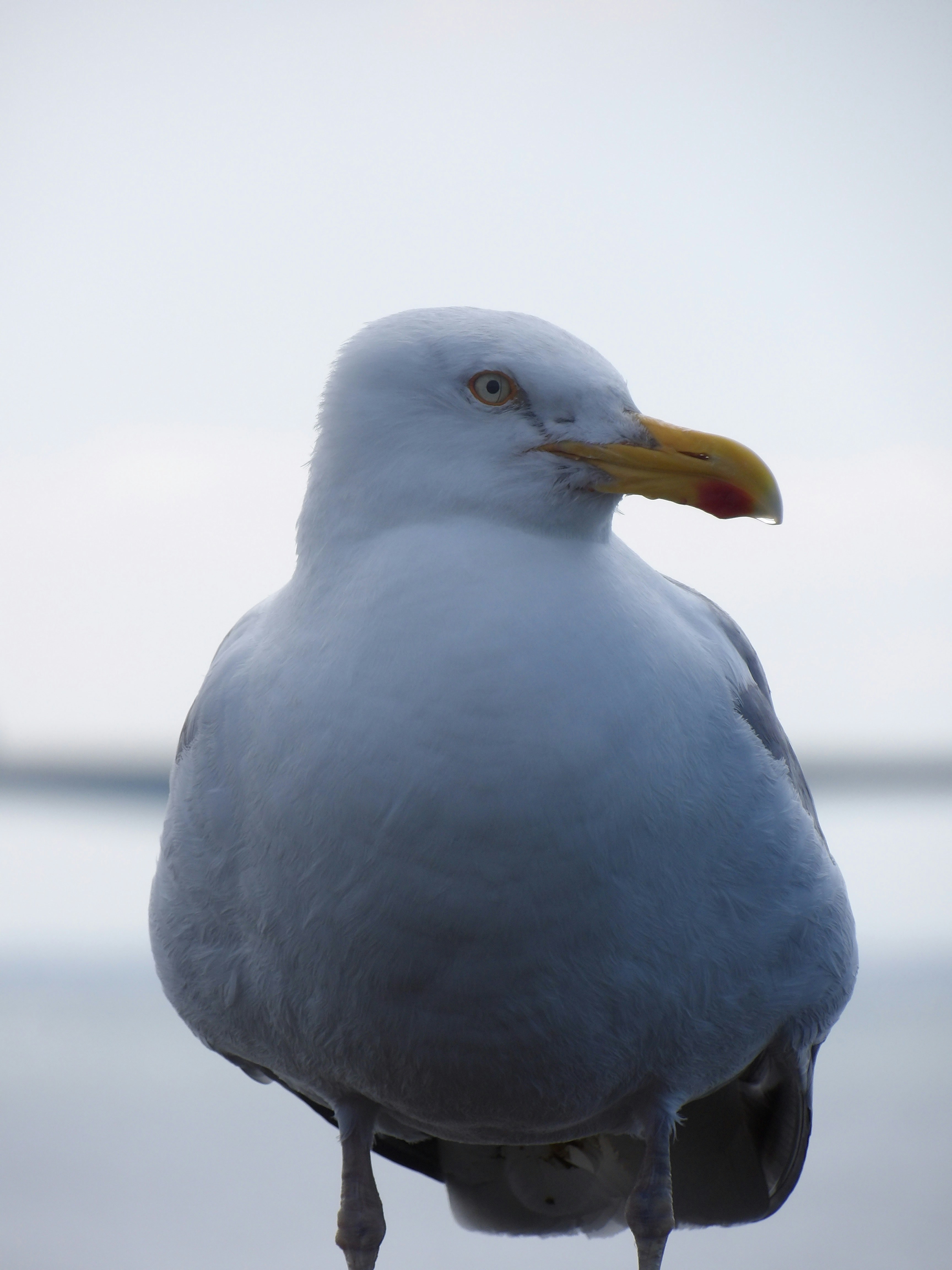 Photo by aviation_guy