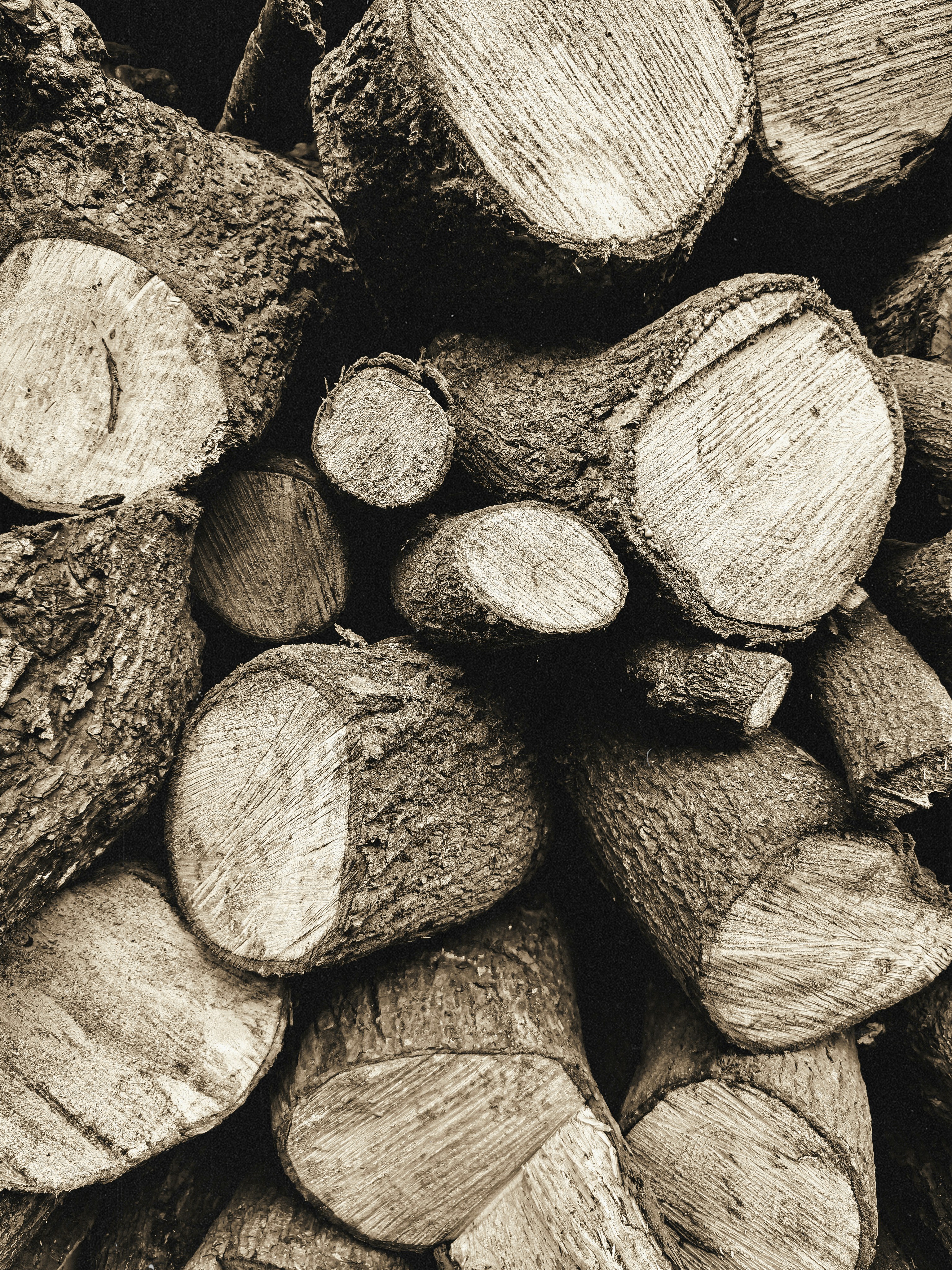 Pile of freshly cut logs with visible wood grain.