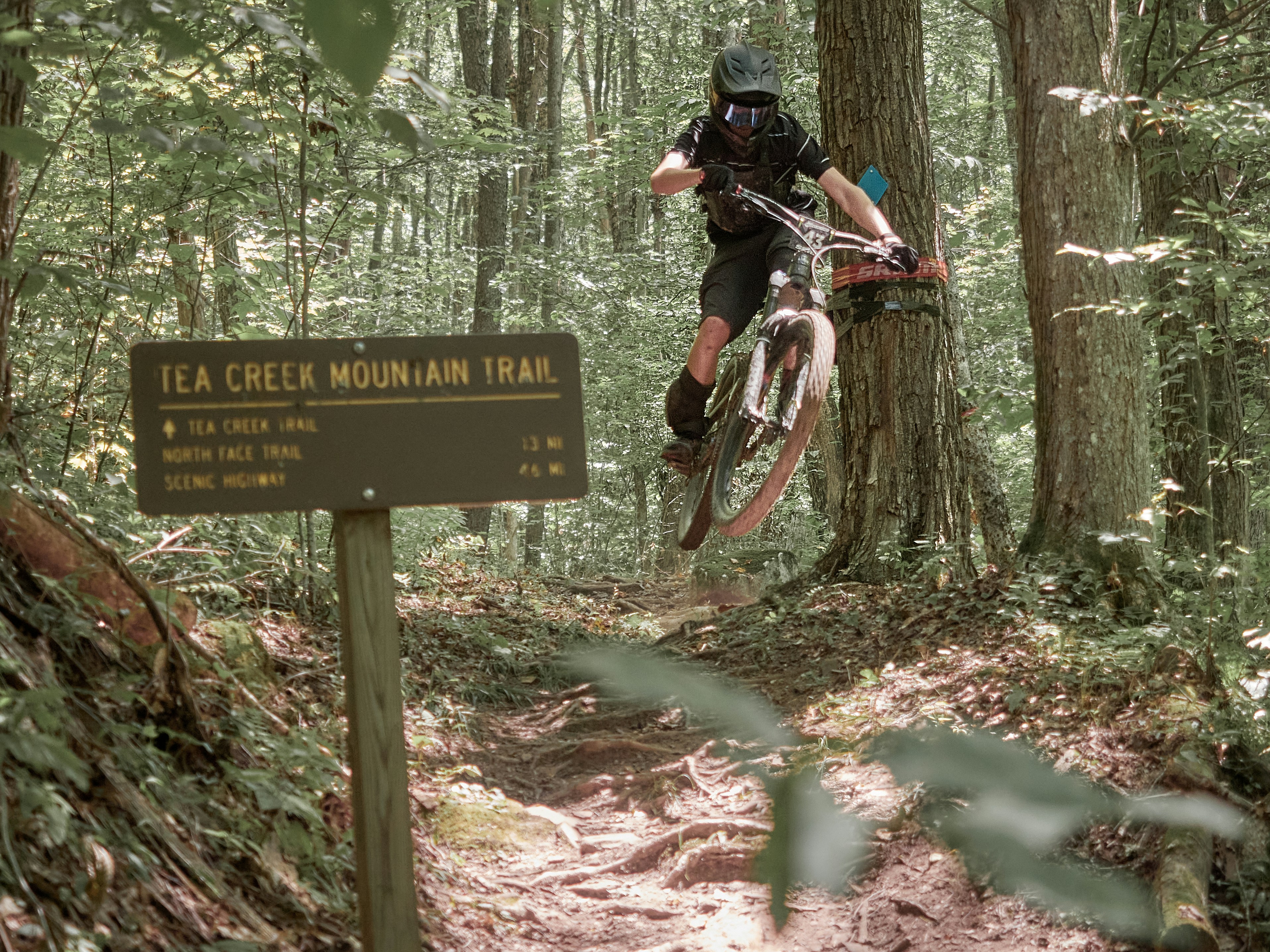 Mountain biker jumps over a trail sign in a forest.