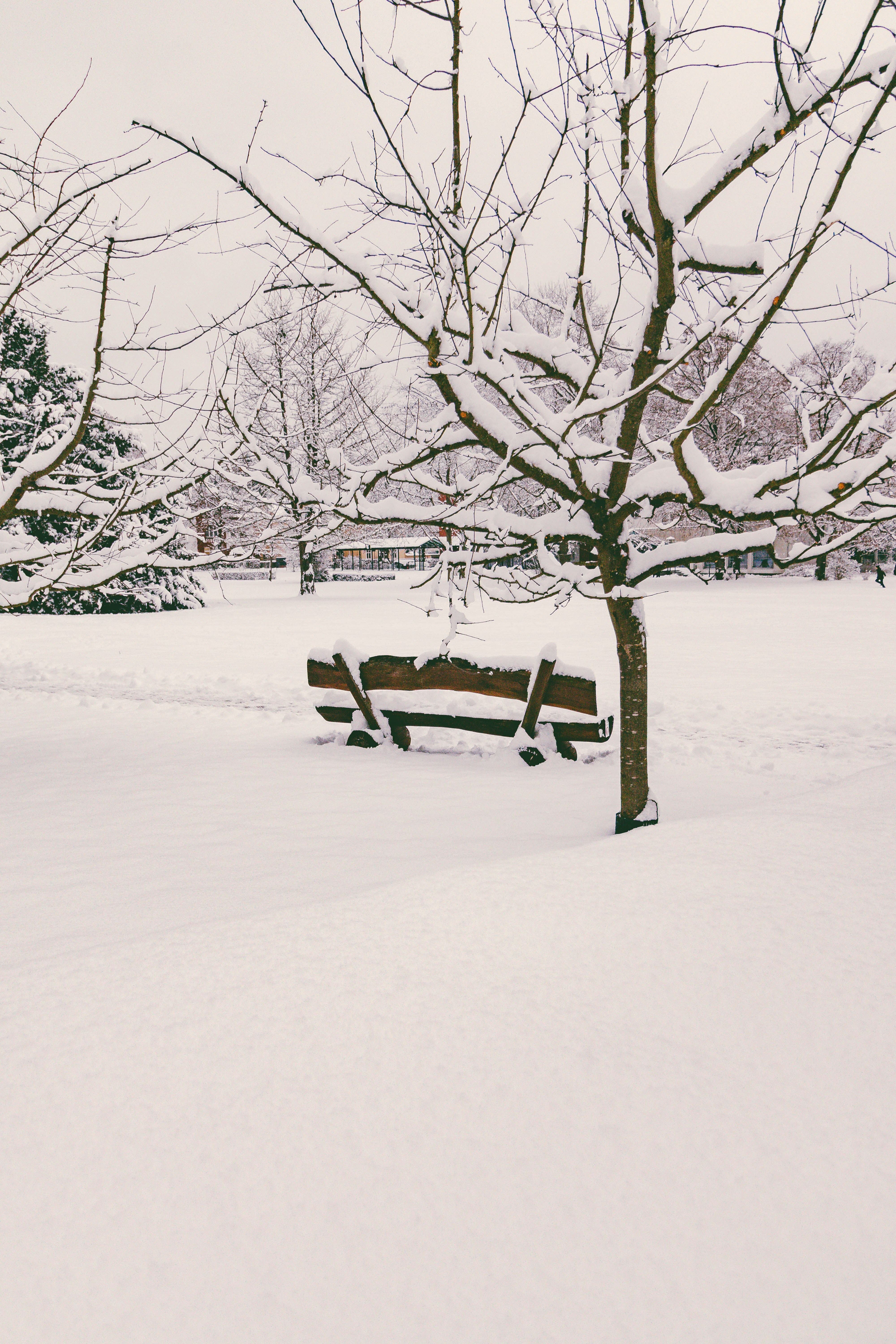 Photo by arlindphotography