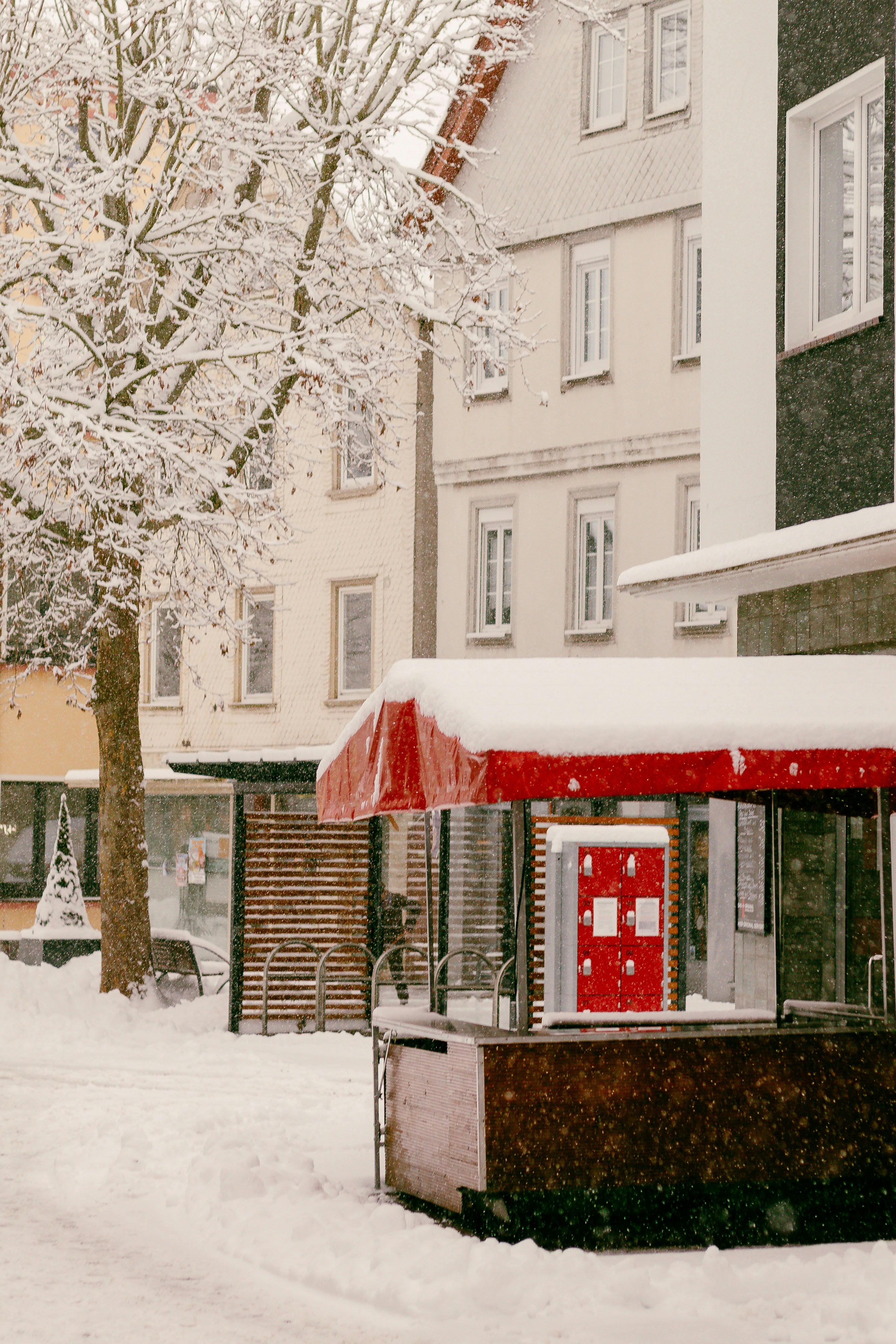 Photo by arlindphotography