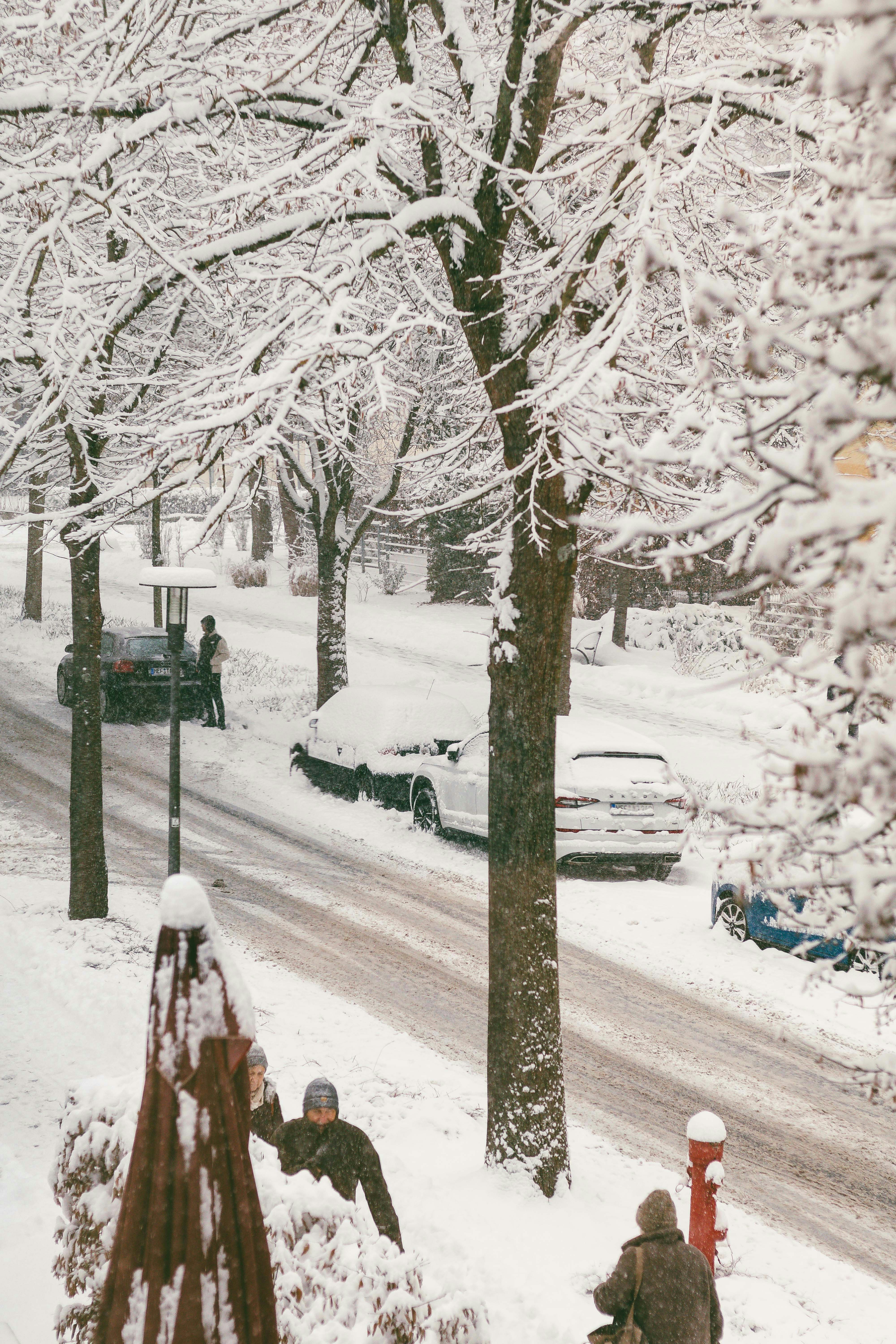 Photo by arlindphotography