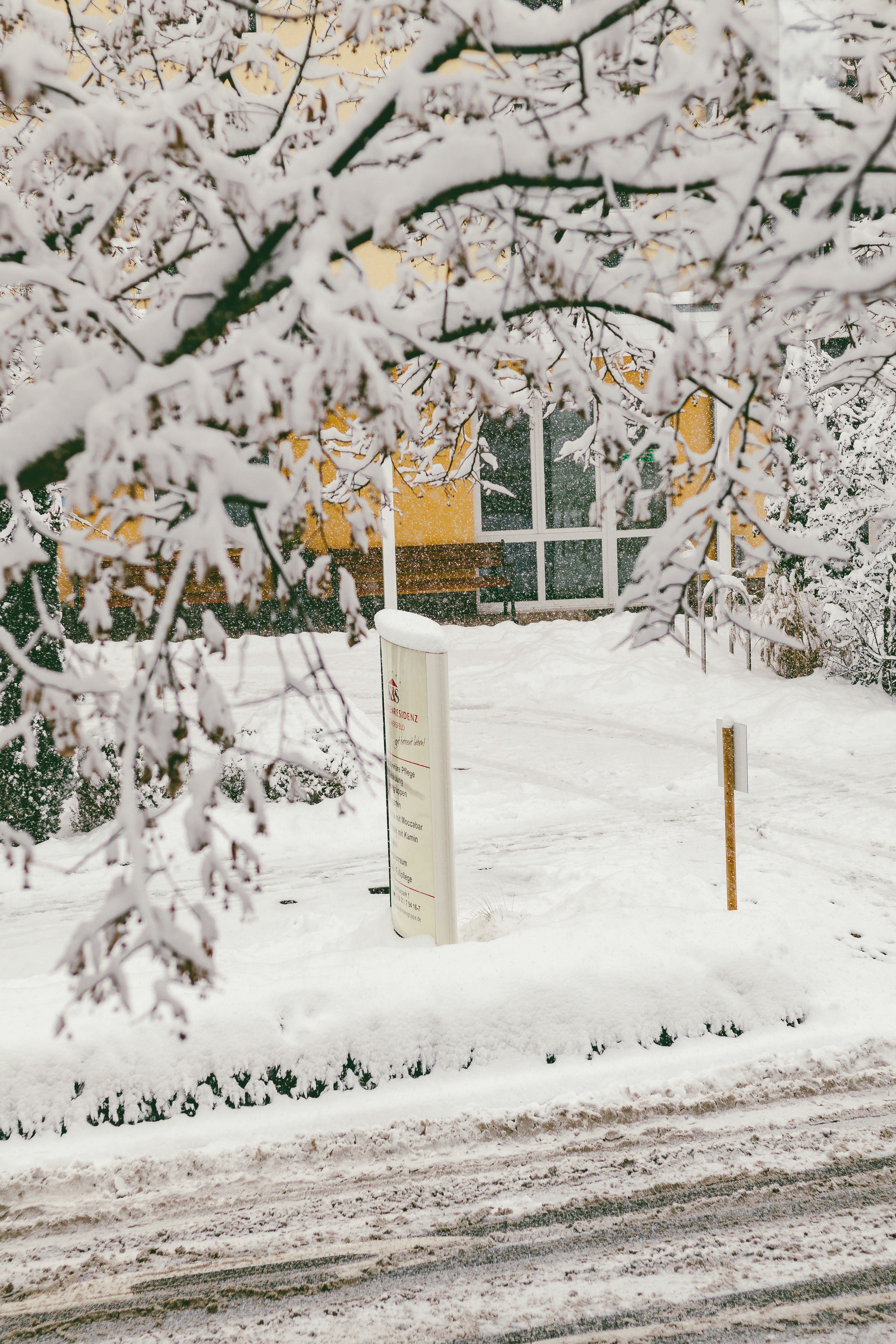 Photo by arlindphotography