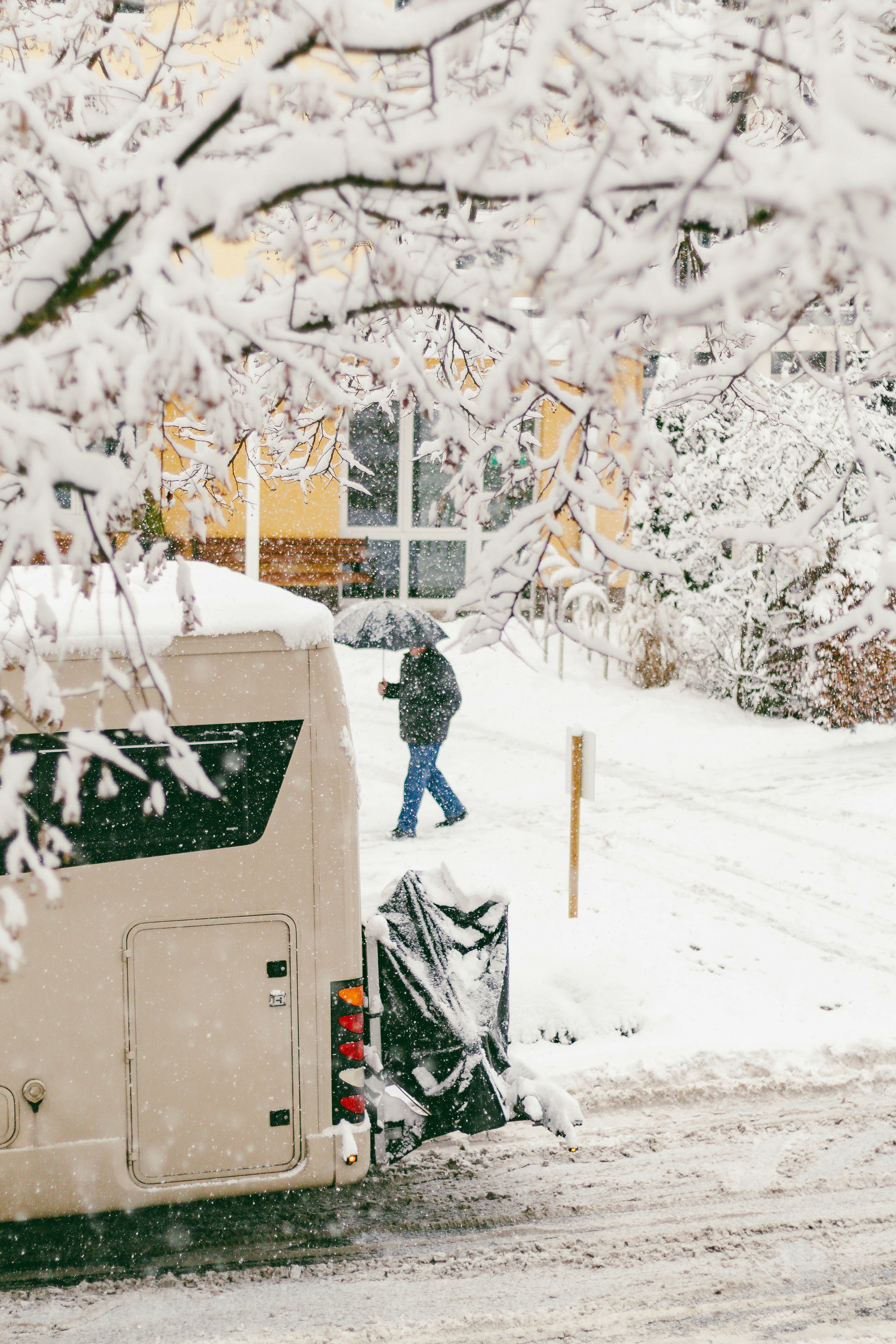 Photo by arlindphotography