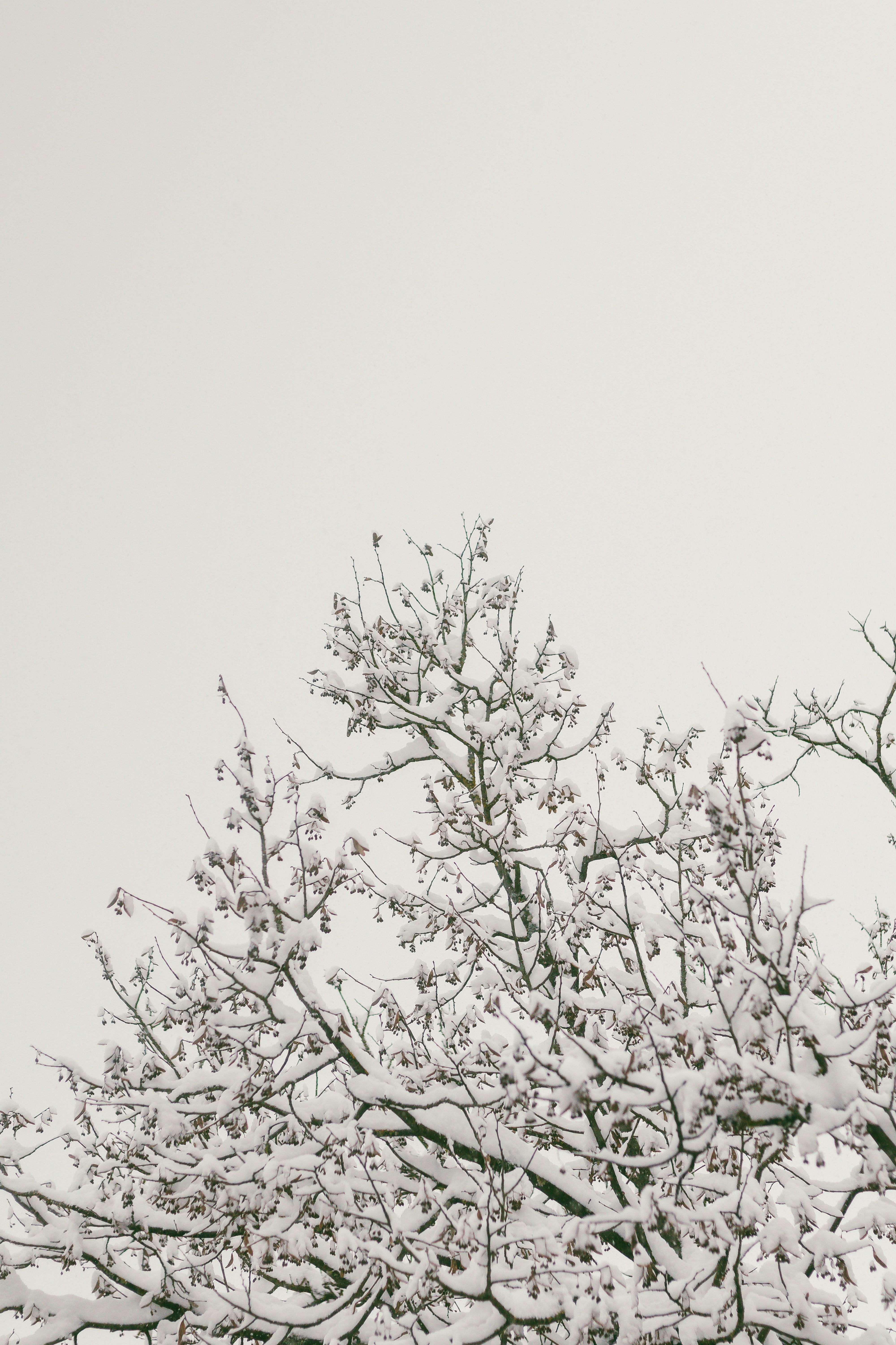 Photo by arlindphotography