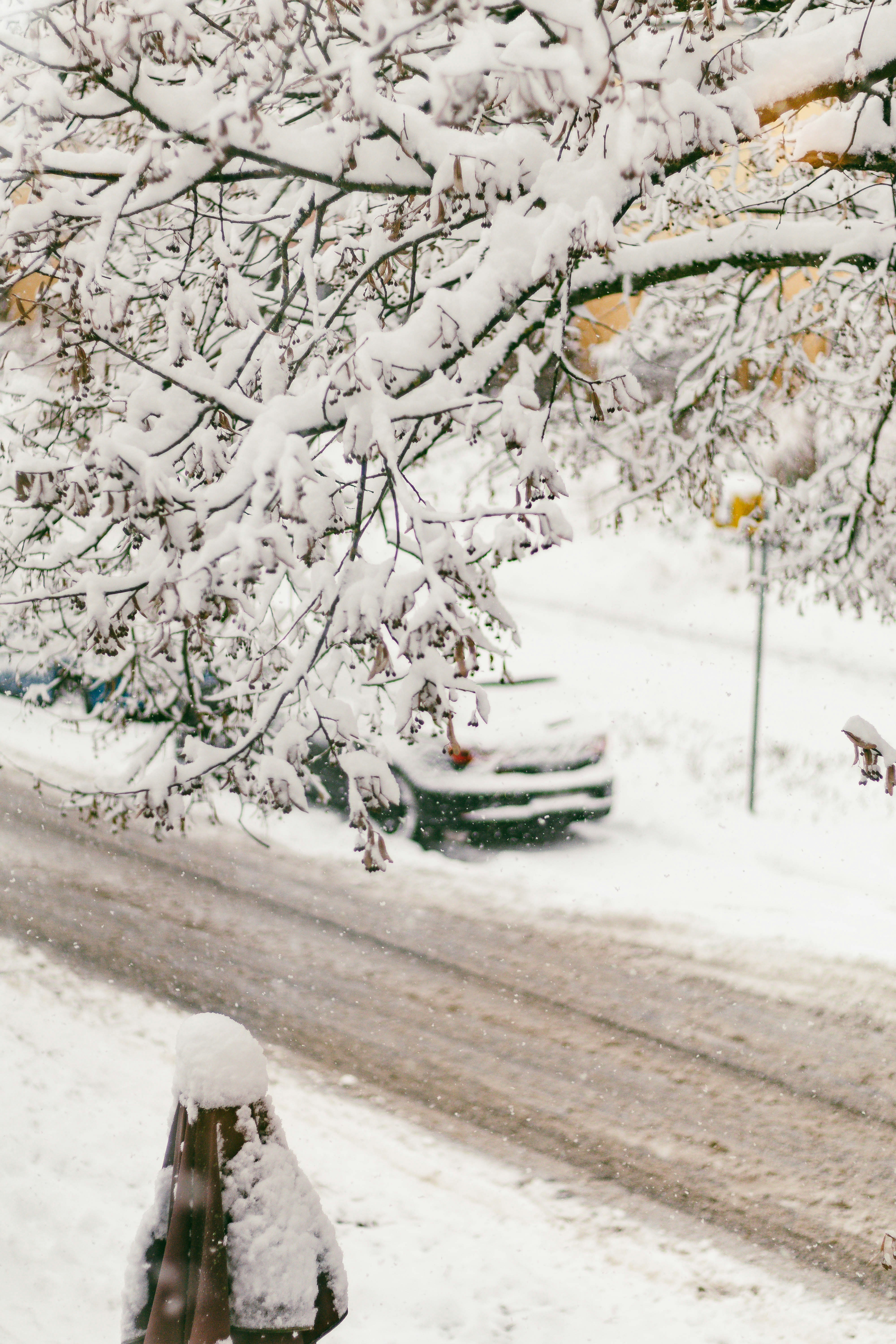 Photo by arlindphotography