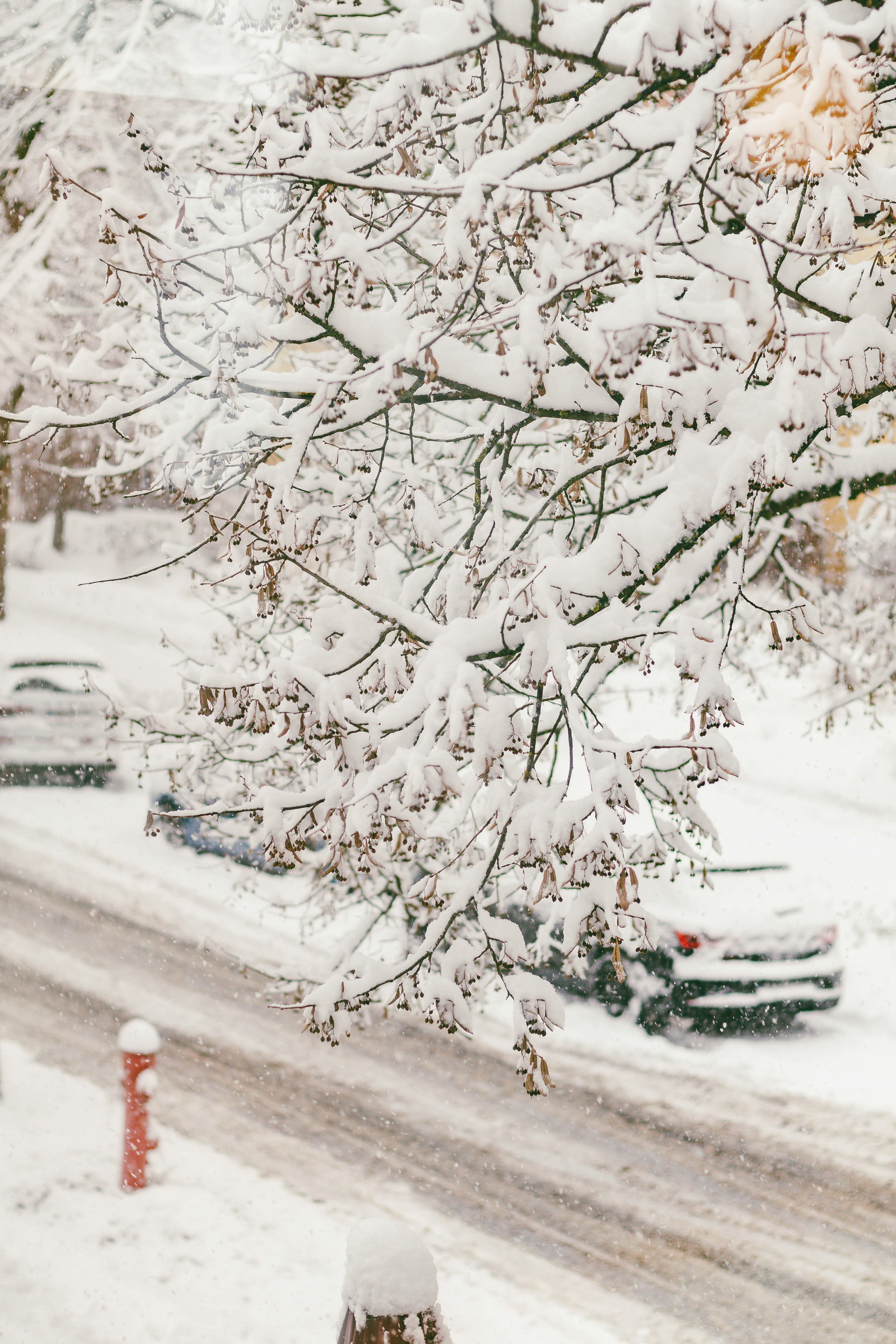 Photo by arlindphotography