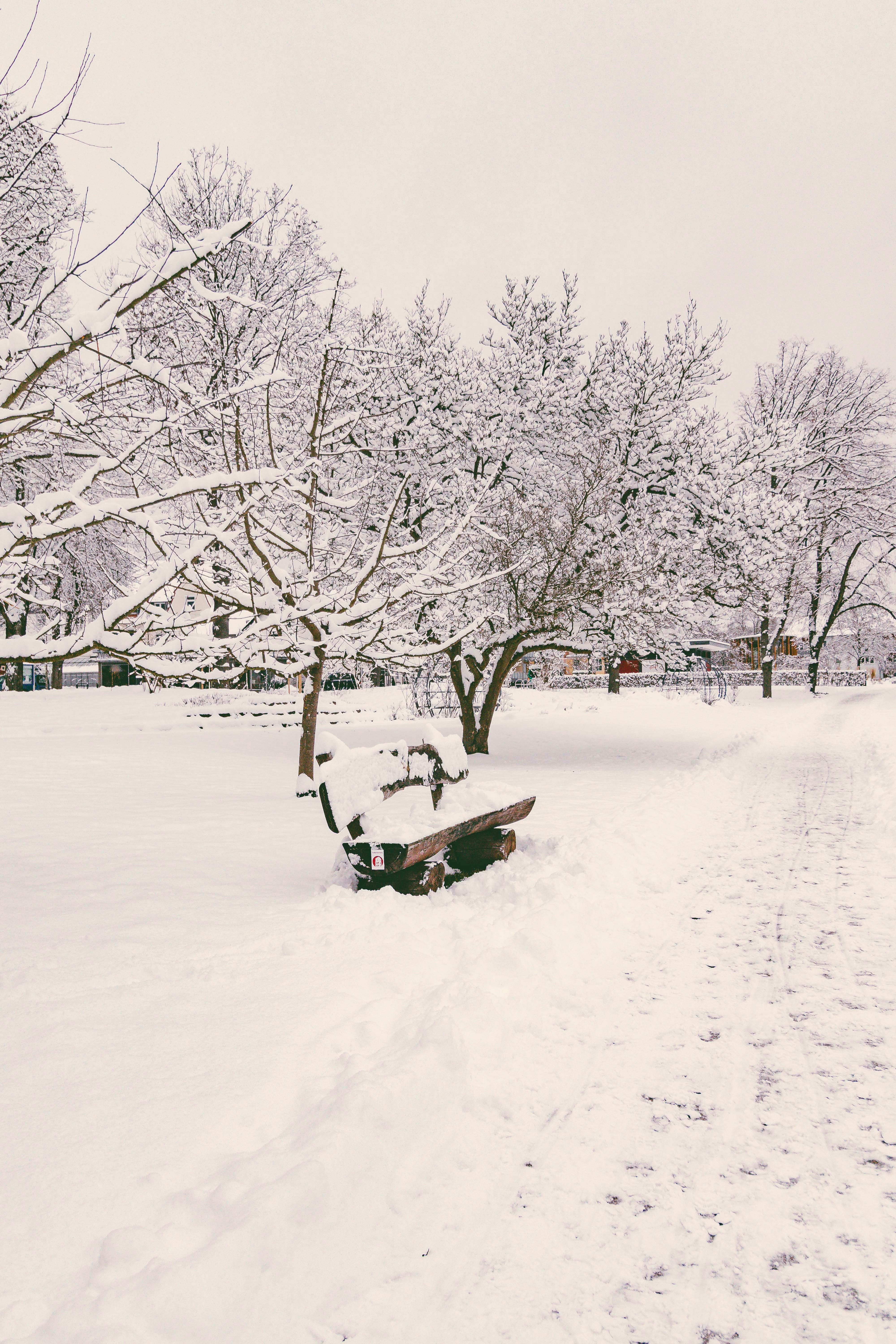 Photo by arlindphotography