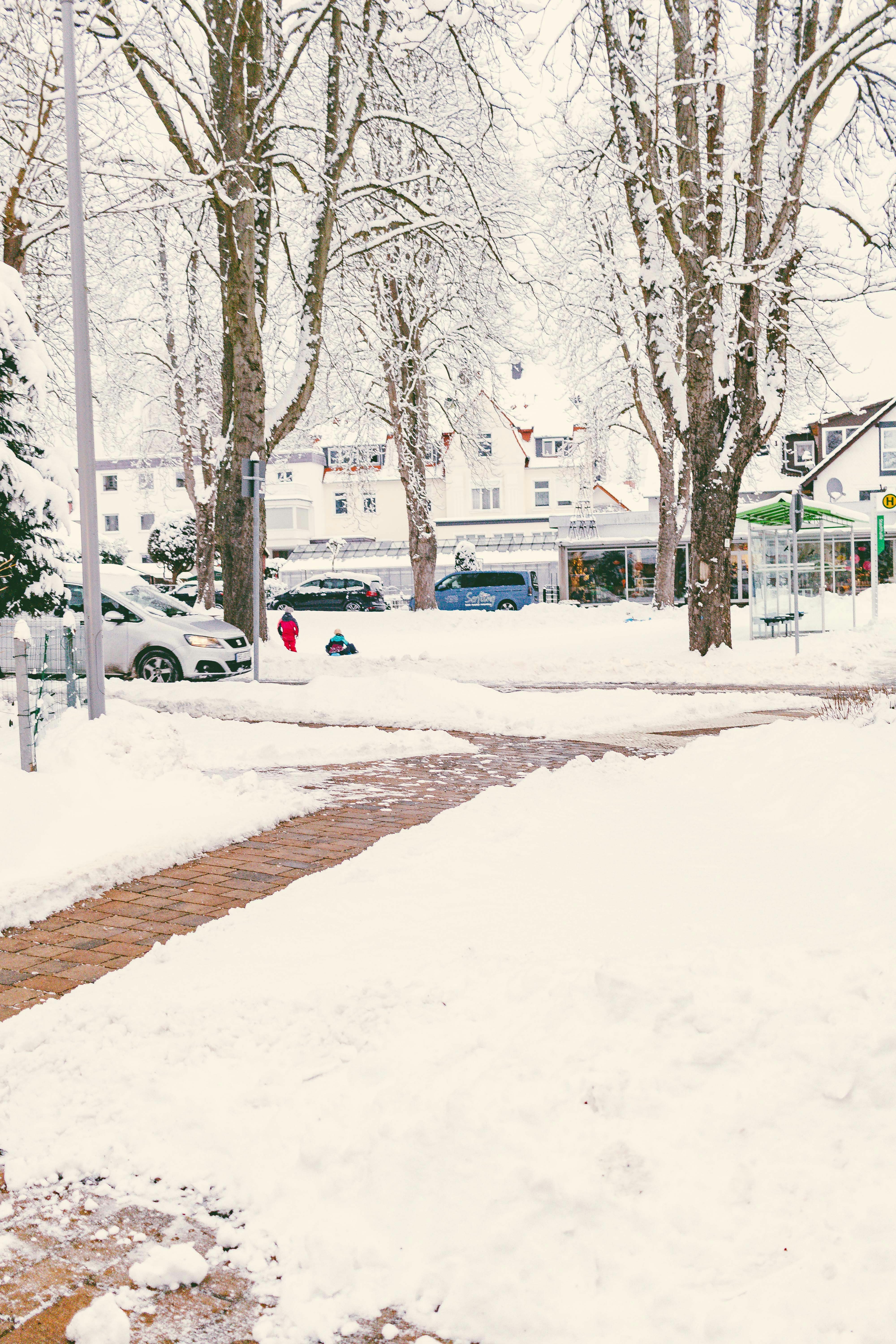 Photo by arlindphotography