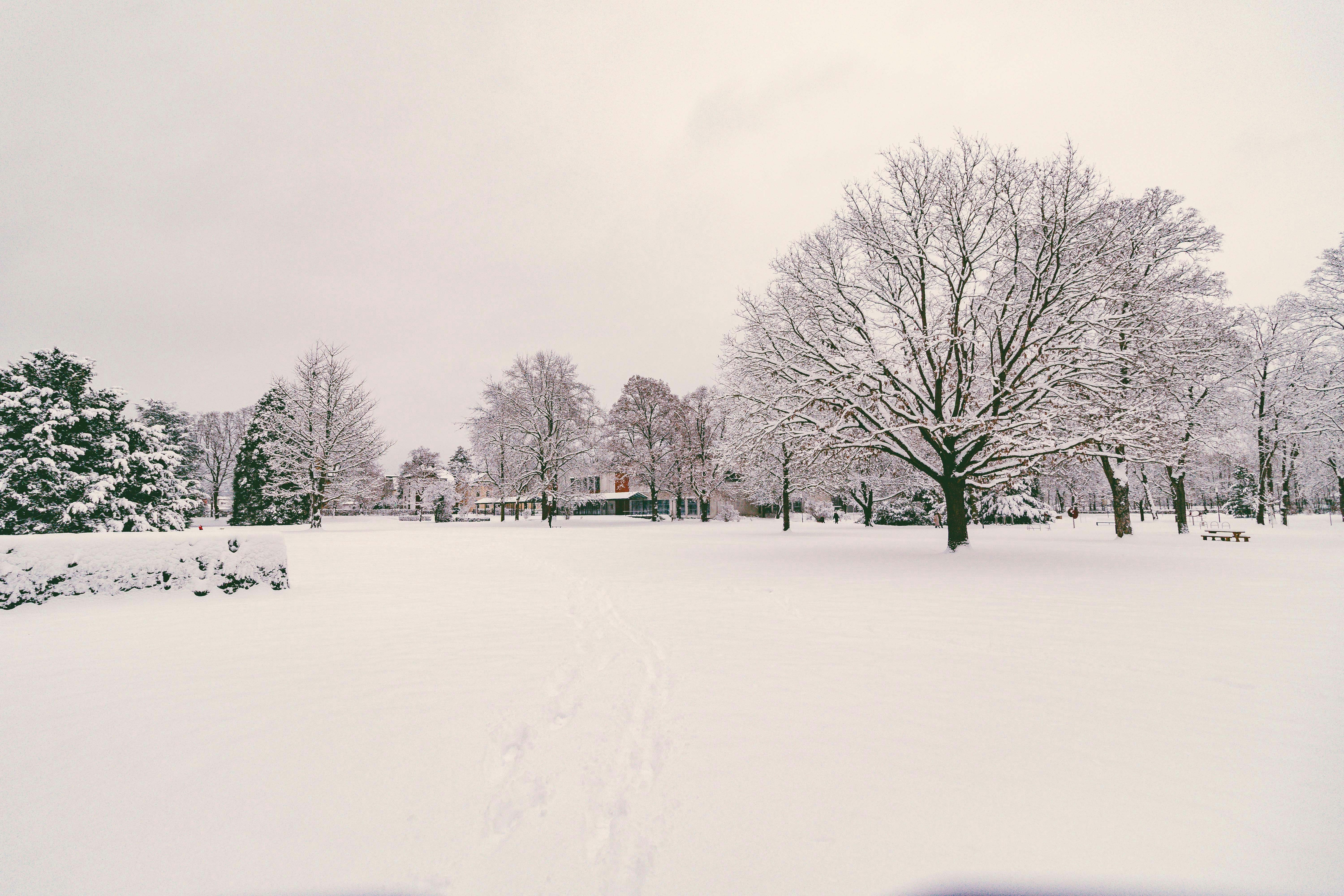 Photo by arlindphotography