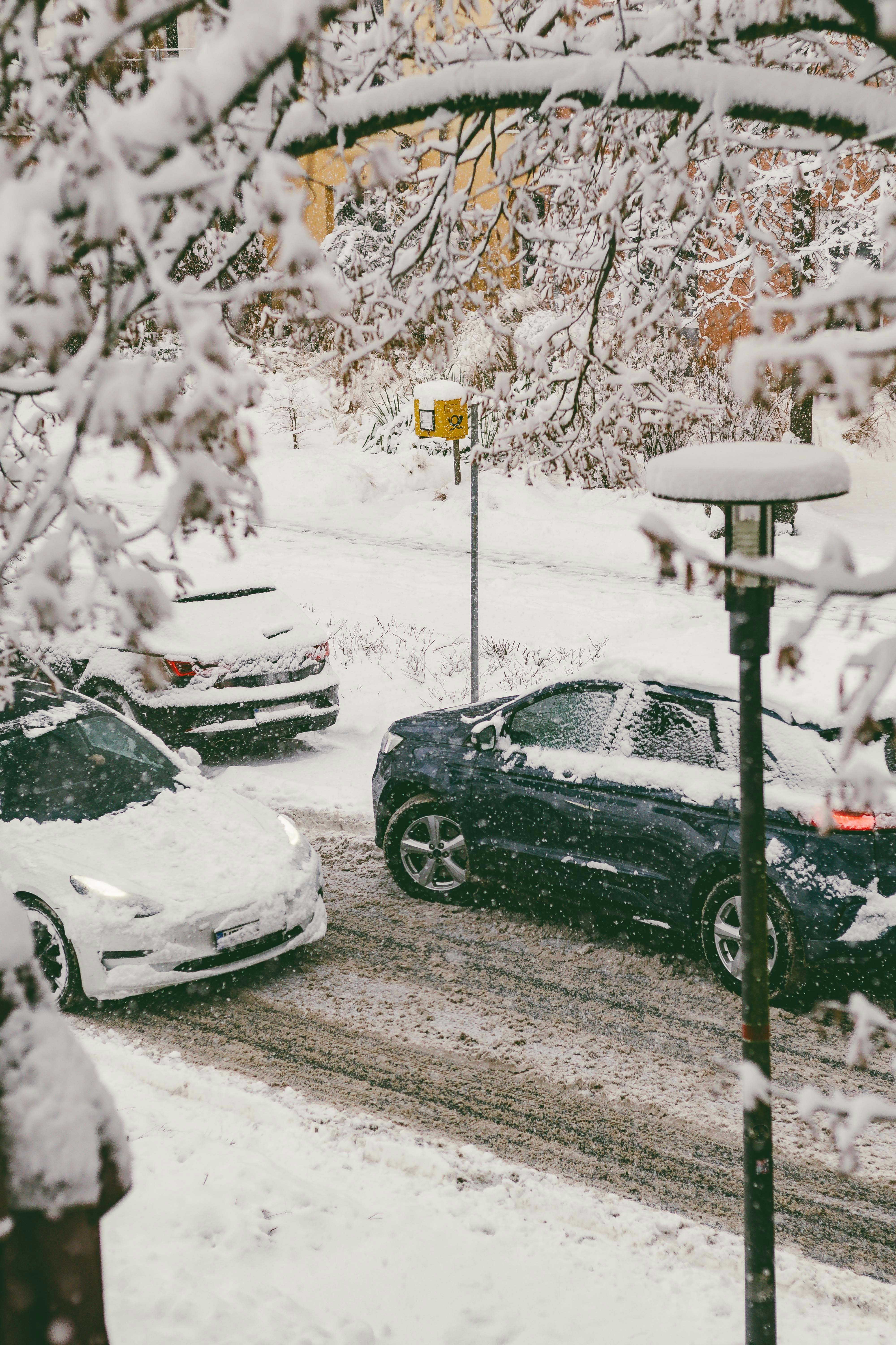 Photo by arlindphotography