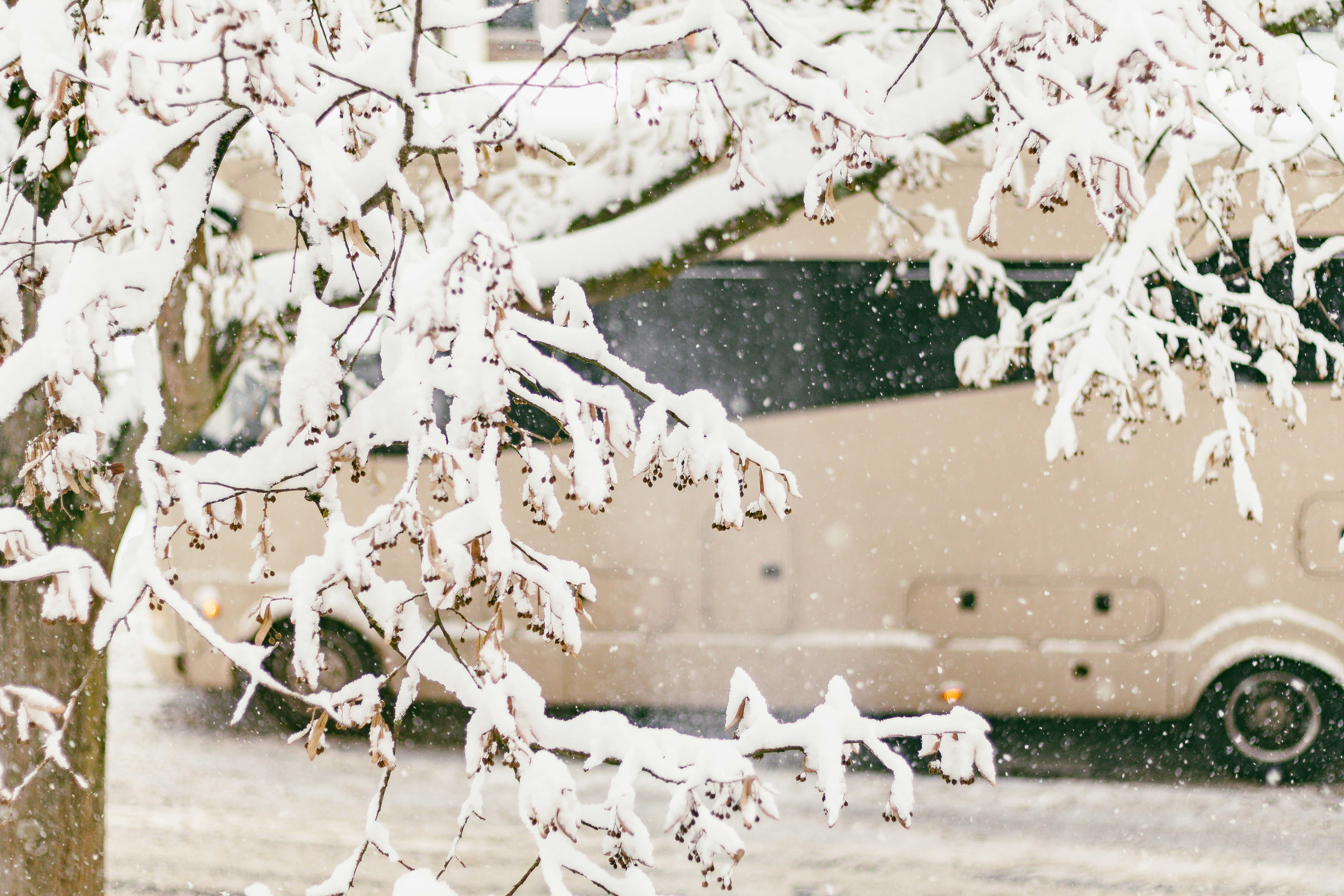 Snow falls on tree branches near a recreational vehicle