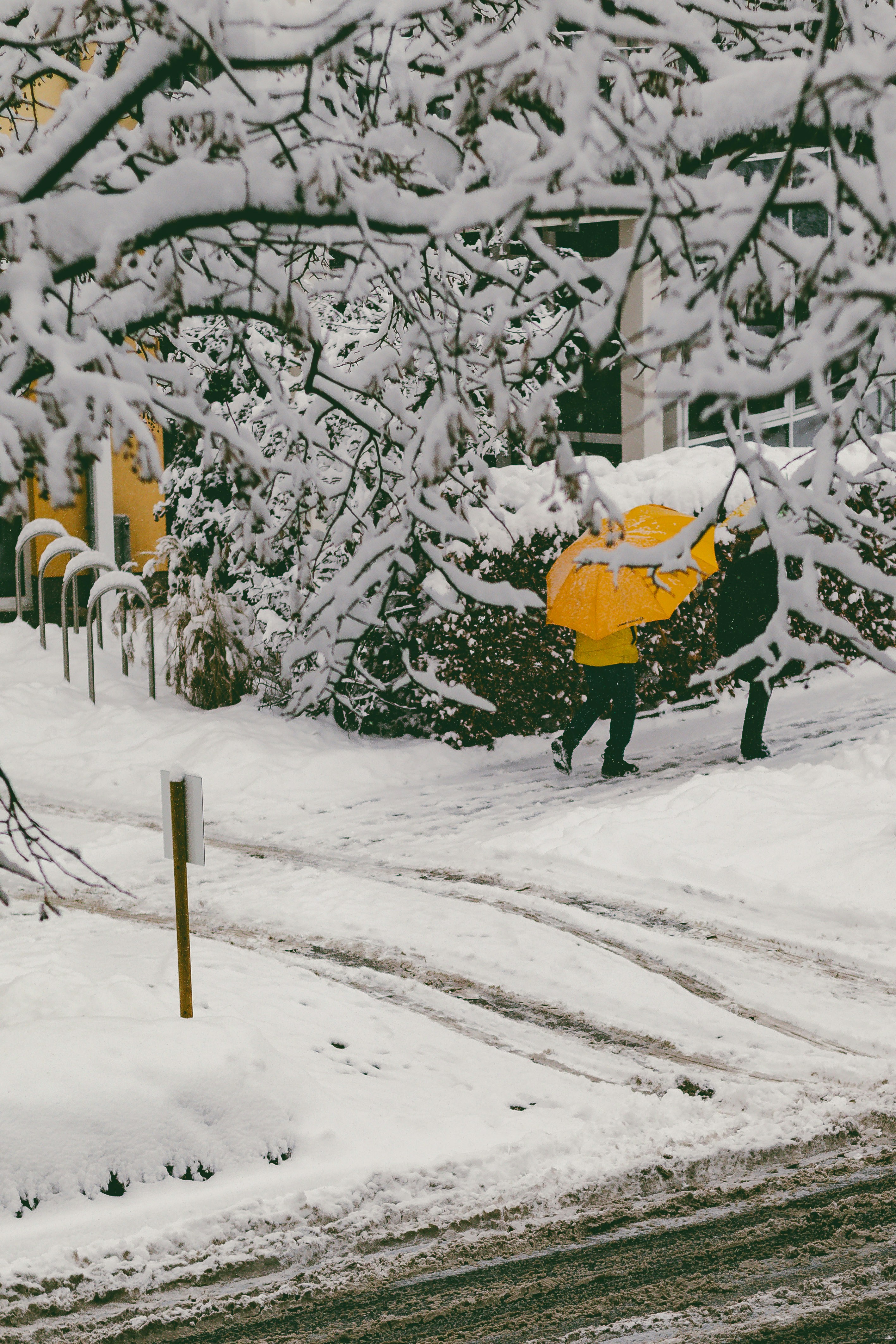 Photo by arlindphotography