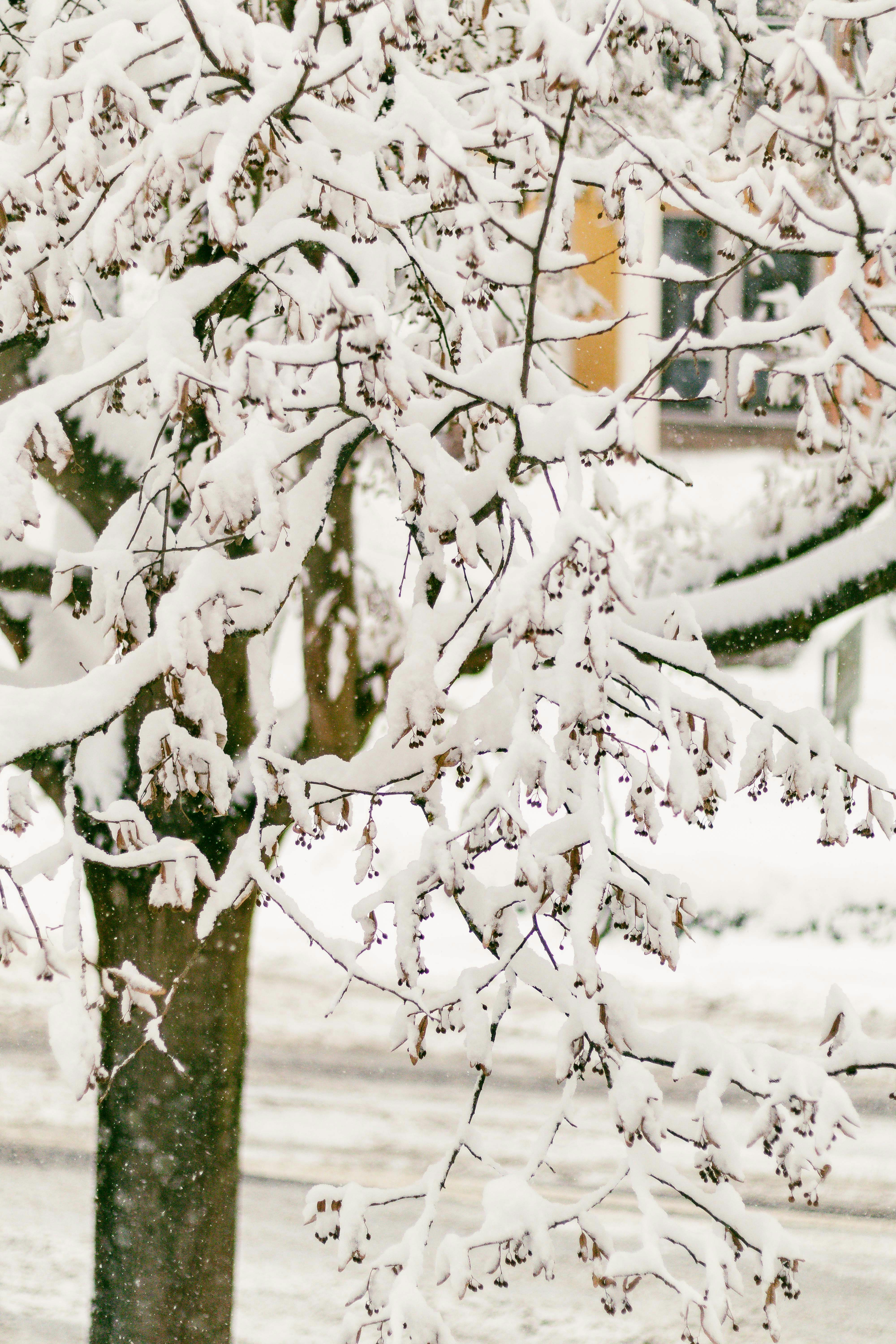 Photo by arlindphotography