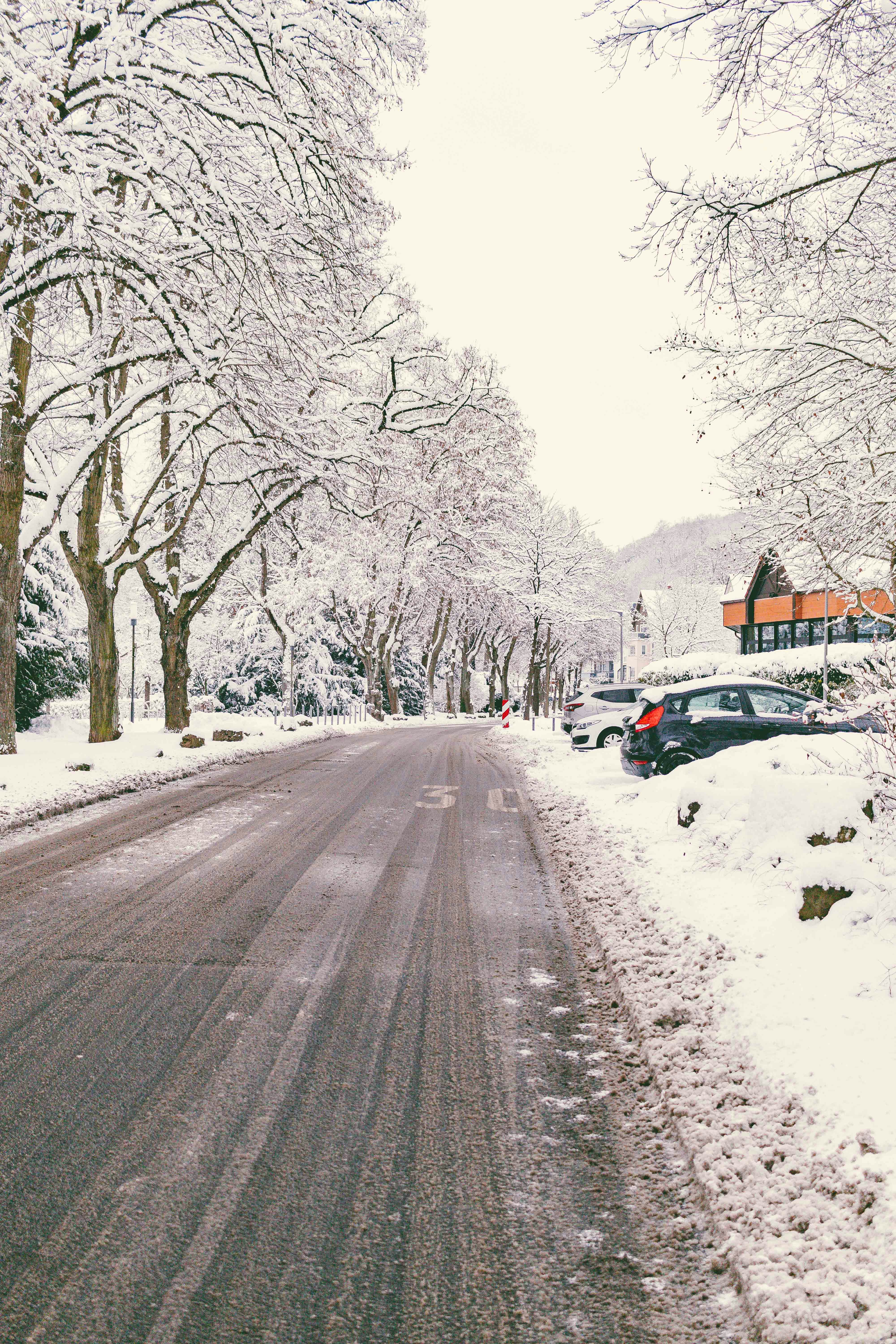 Photo by arlindphotography