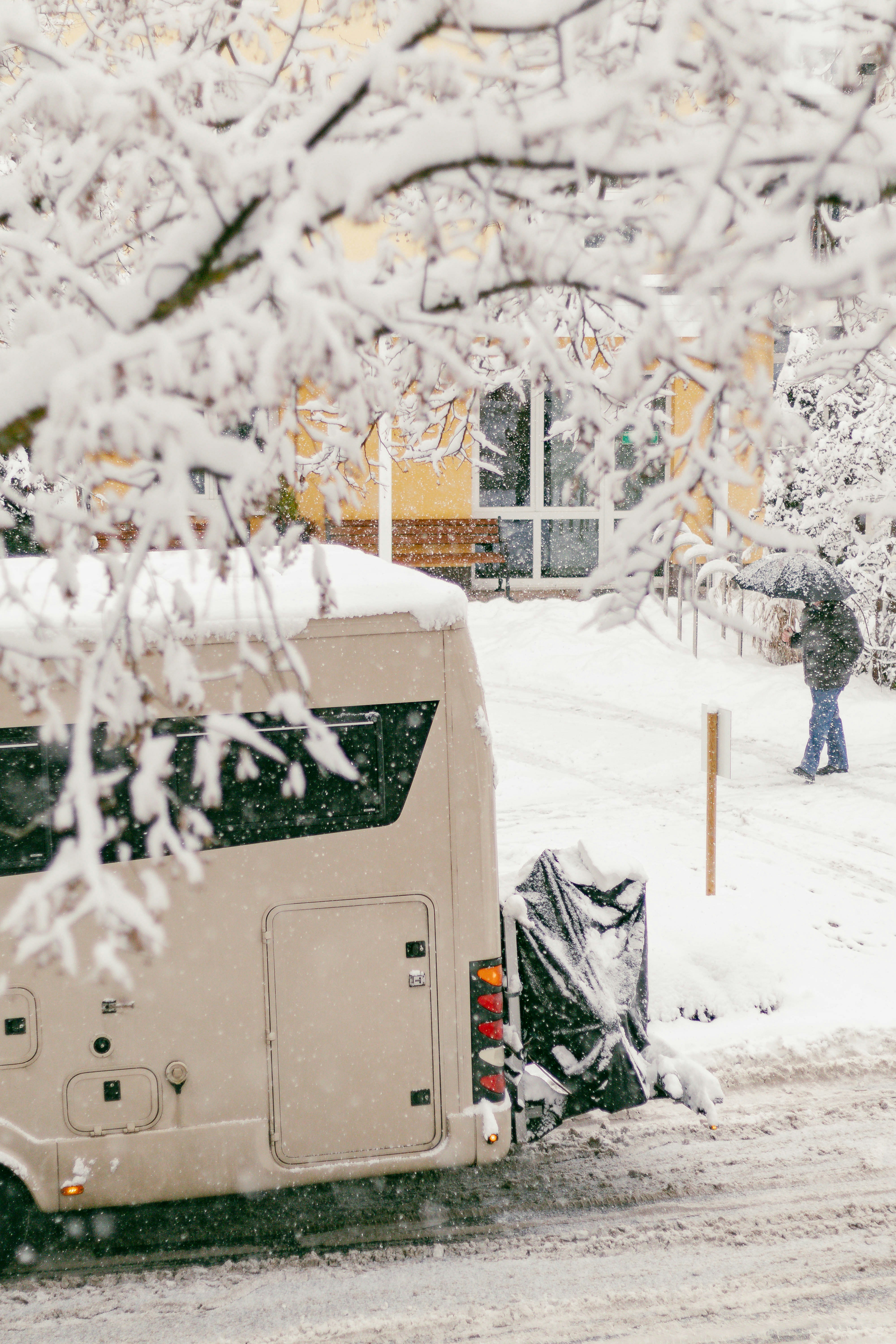 Photo by arlindphotography