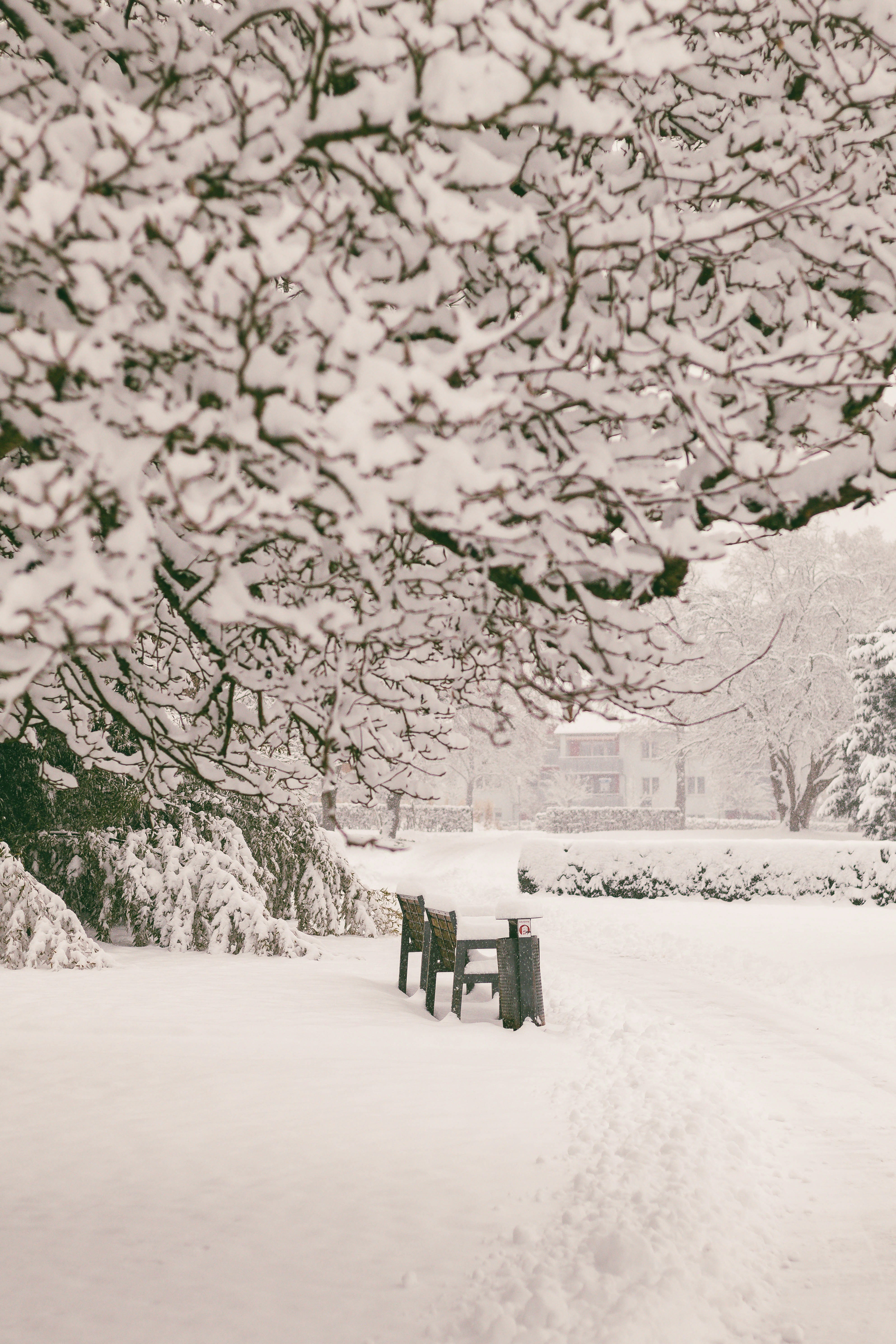 Photo by arlindphotography