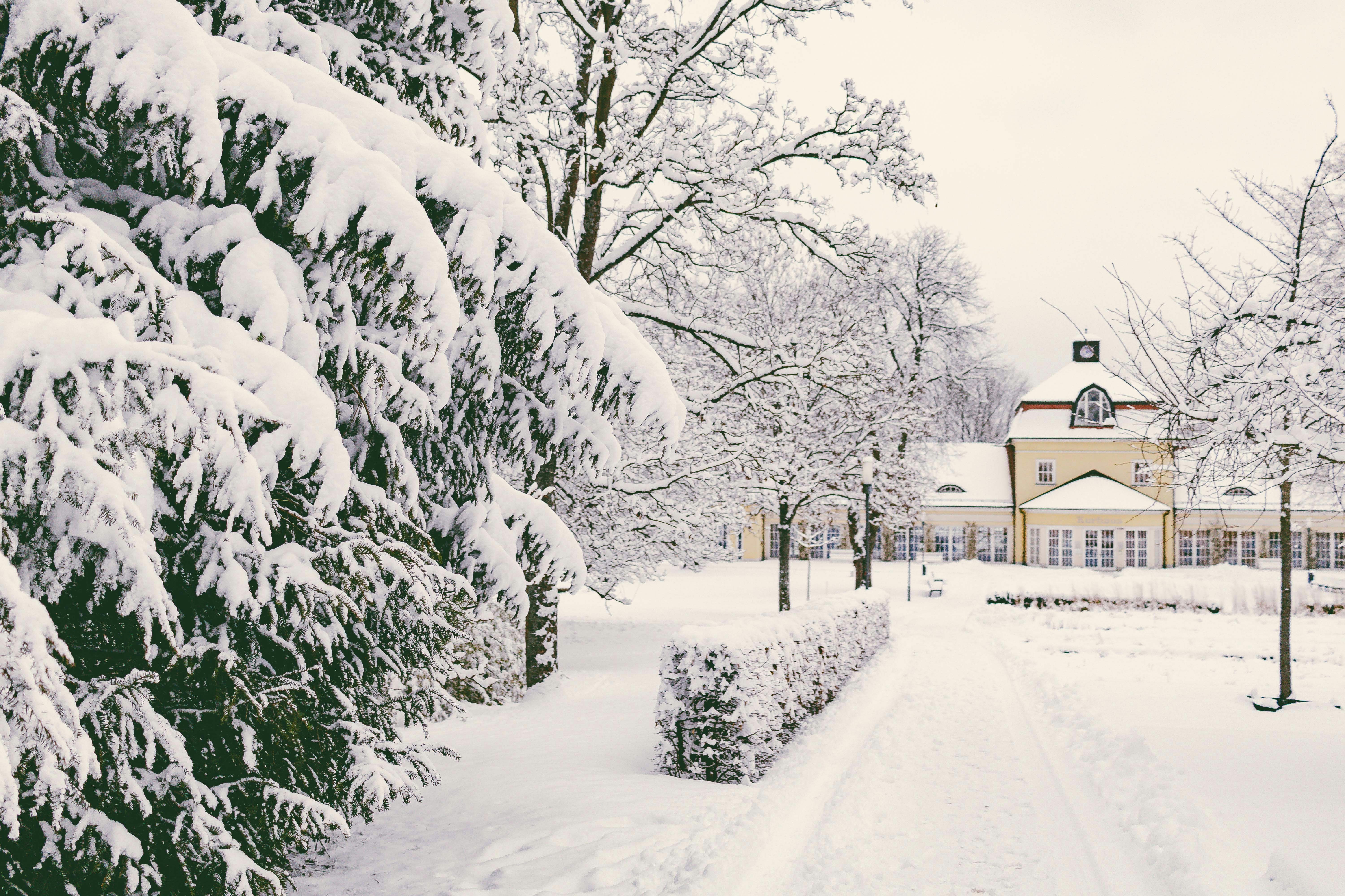 Photo by arlindphotography