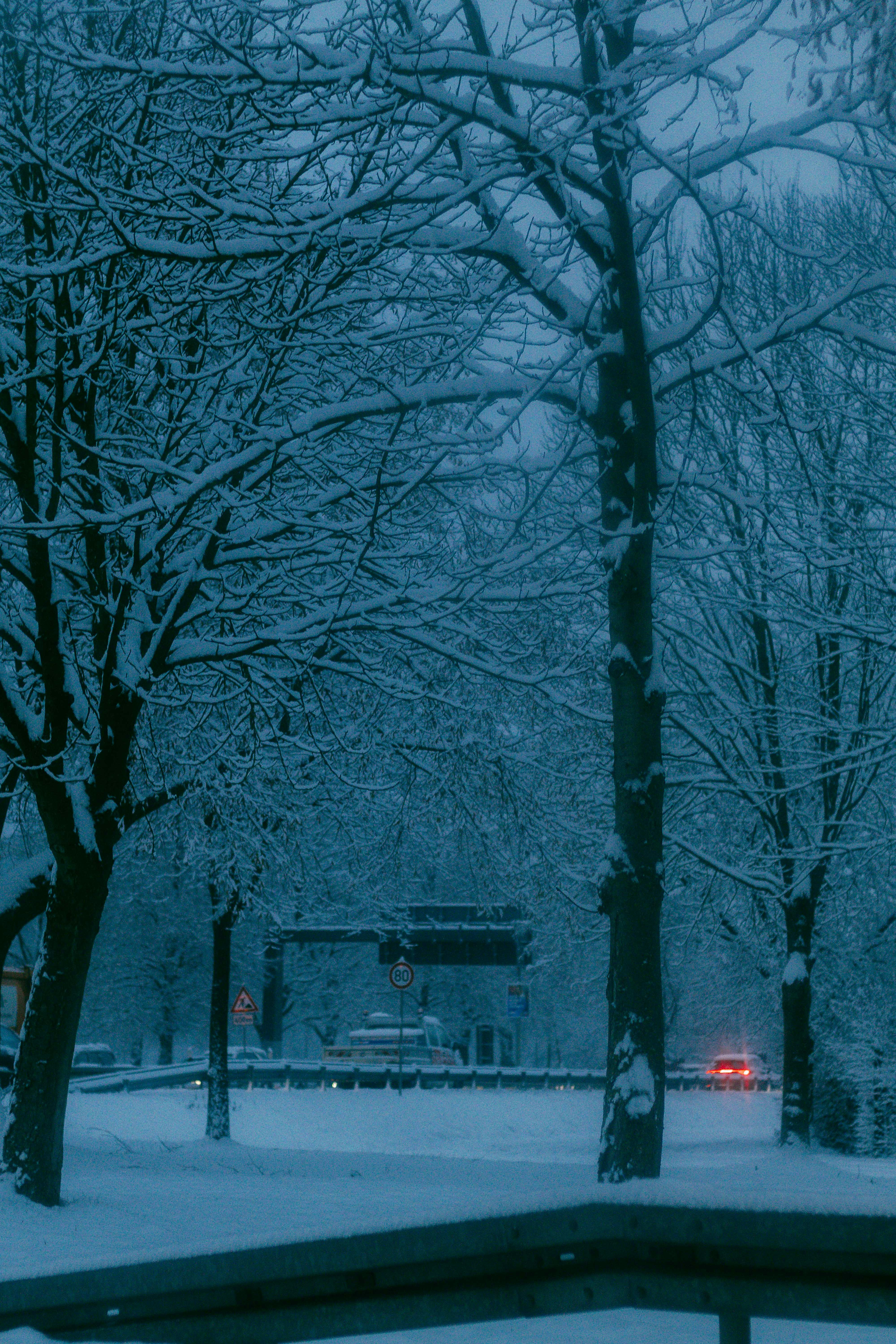 Photo by arlindphotography